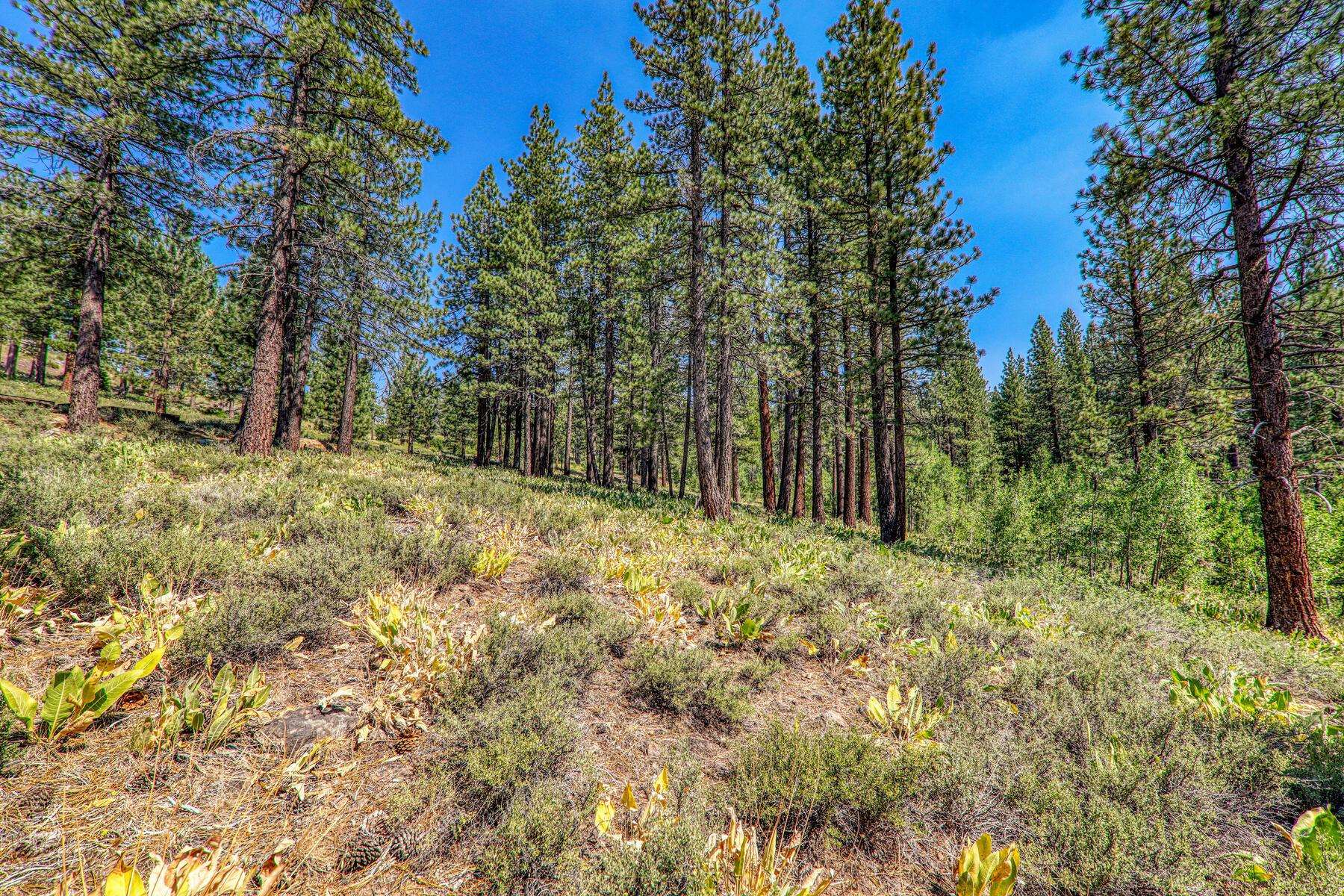 300 Skidder Trail, Truckee, CA, 96161