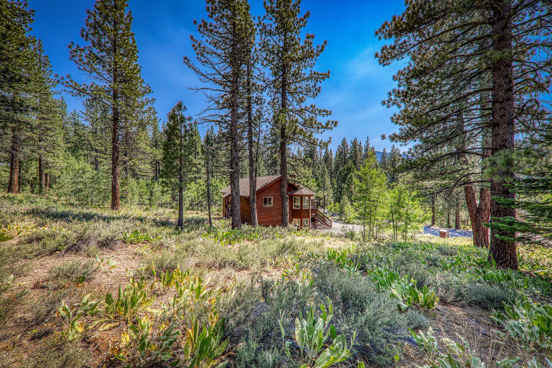 300 Skidder Trail, Truckee, CA, 96161