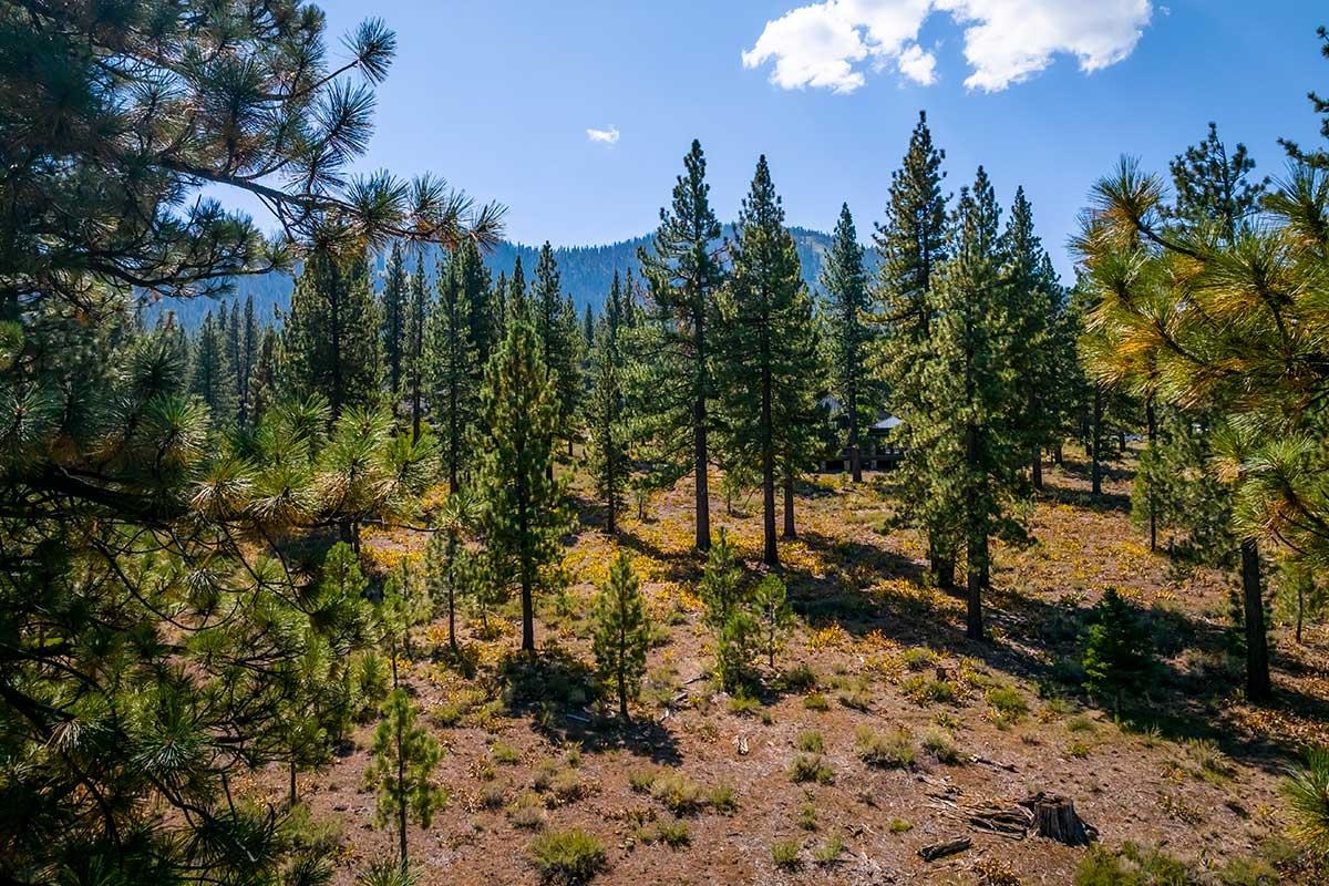 720 John McKinney, Truckee, CA, 96161