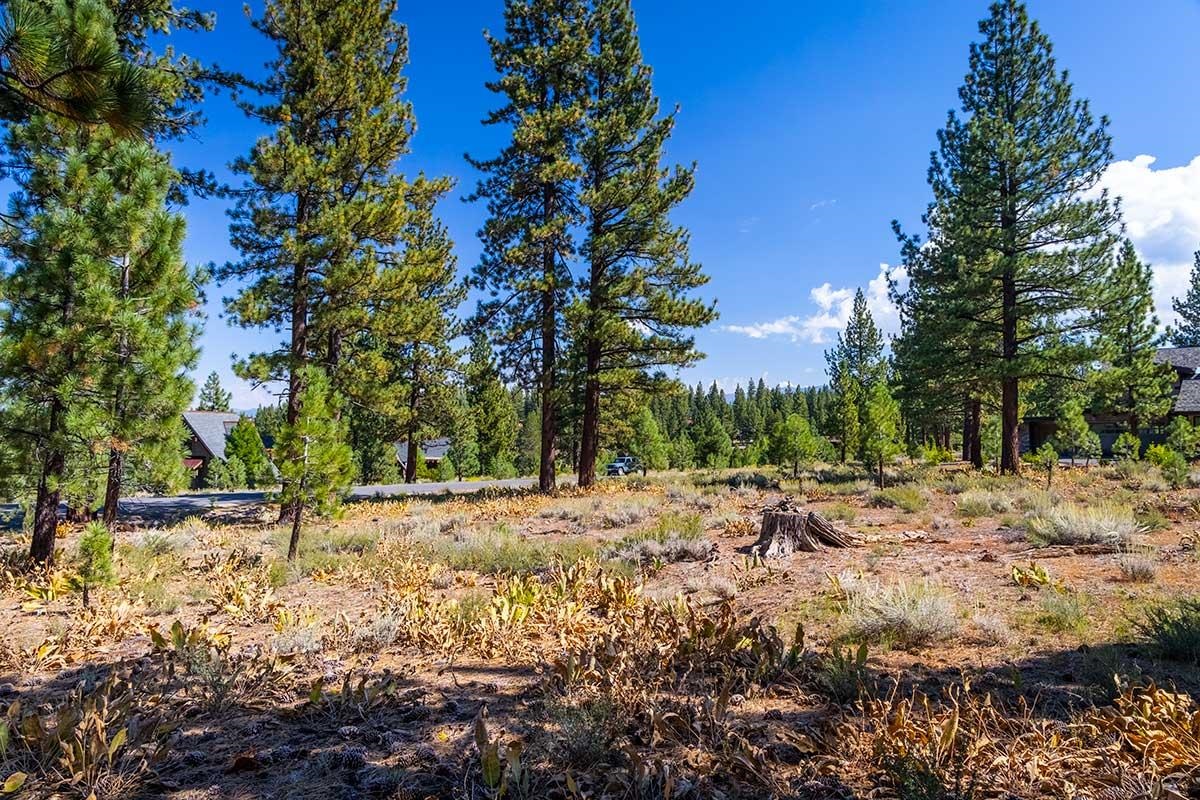 720 John McKinney, Truckee, CA, 96161