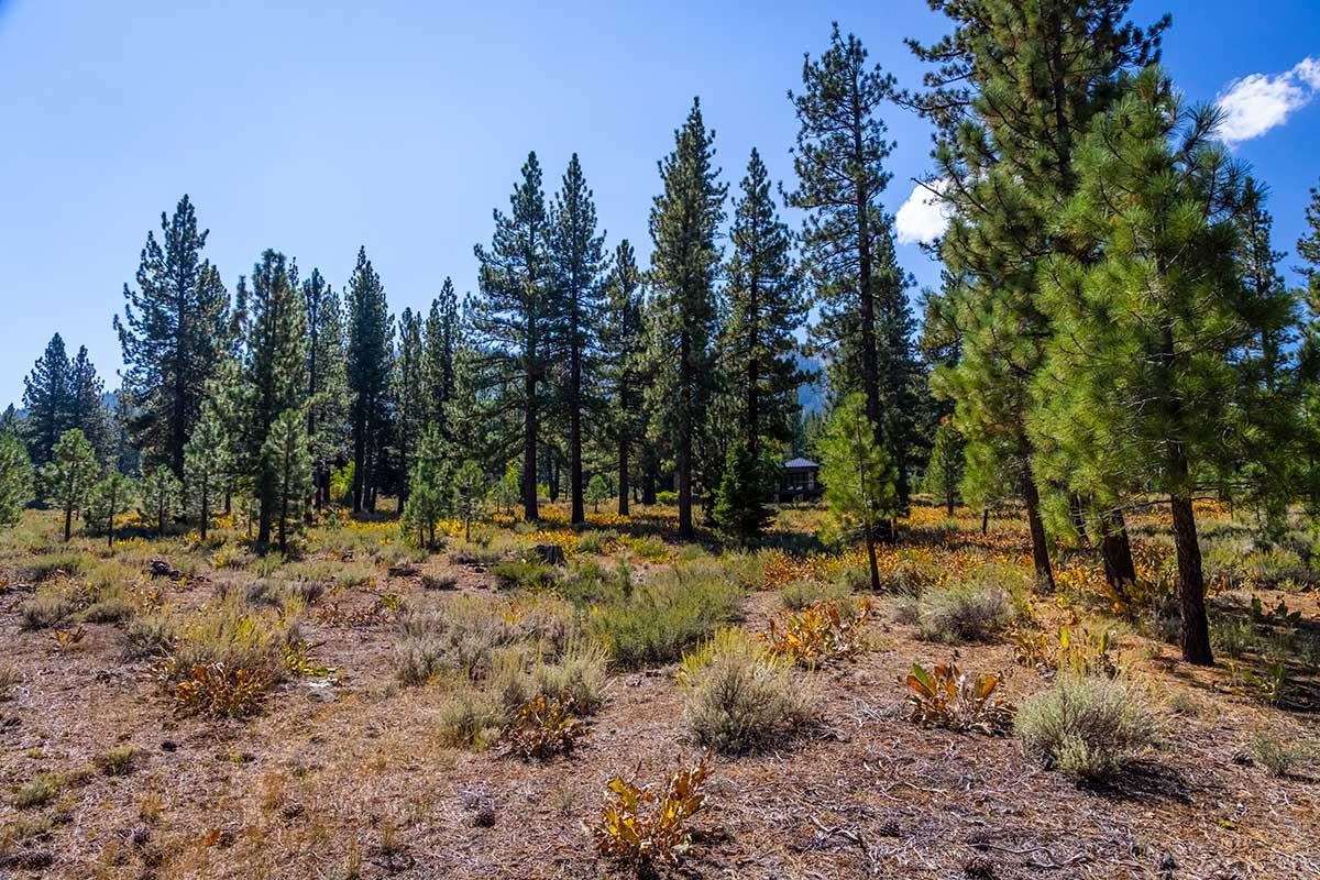 720 John McKinney, Truckee, CA, 96161