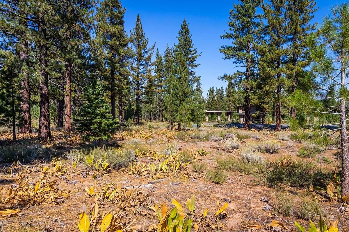 720 John McKinney, Truckee, CA, 96161