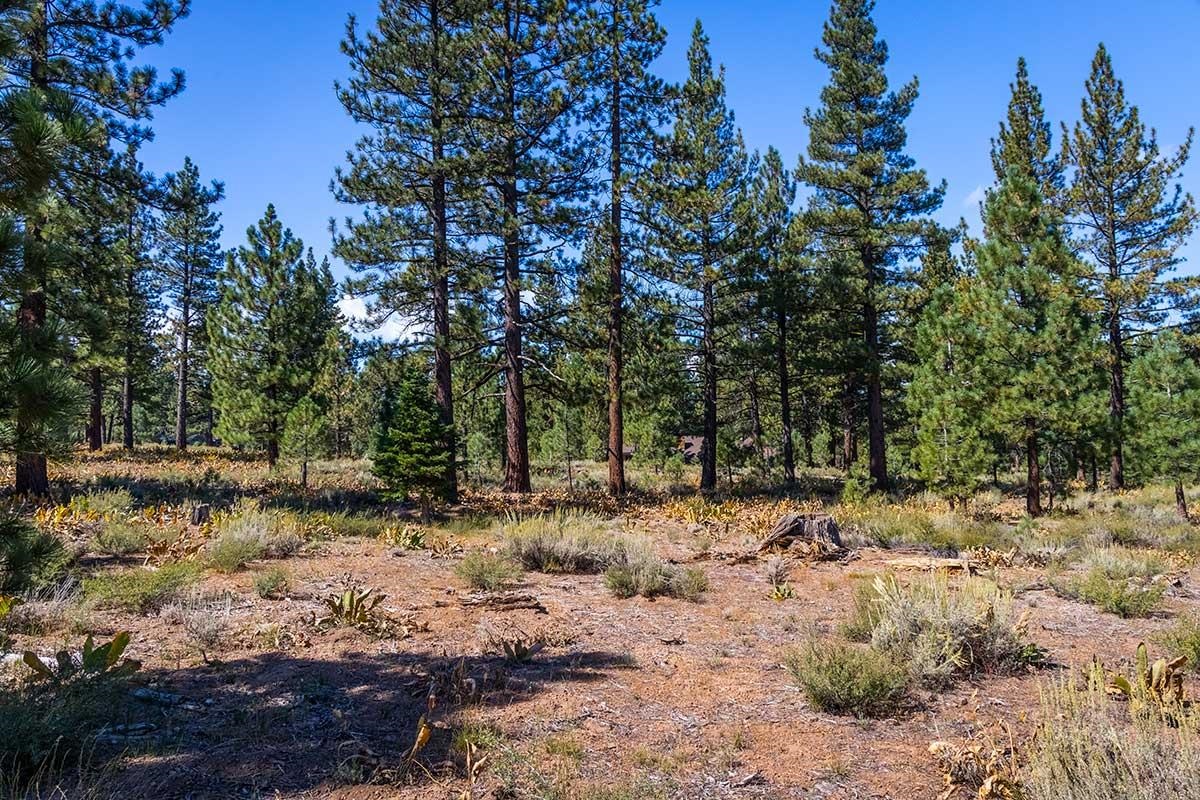 720 John McKinney, Truckee, CA, 96161