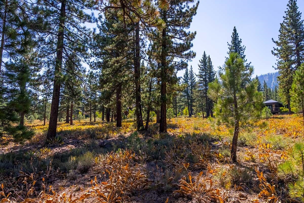 720 John McKinney, Truckee, CA, 96161