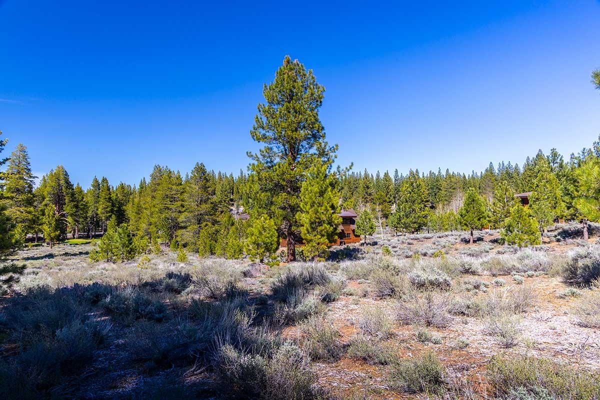 735 John McKinney, Truckee, CA, 96161