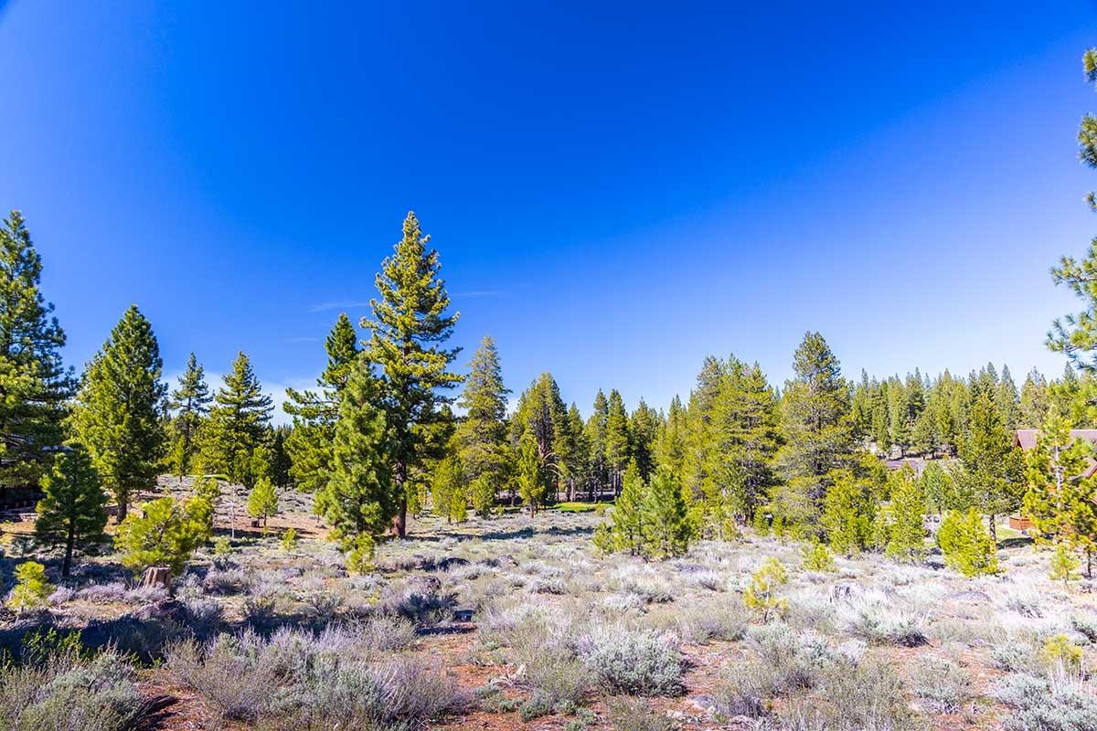 735 John McKinney, Truckee, CA, 96161