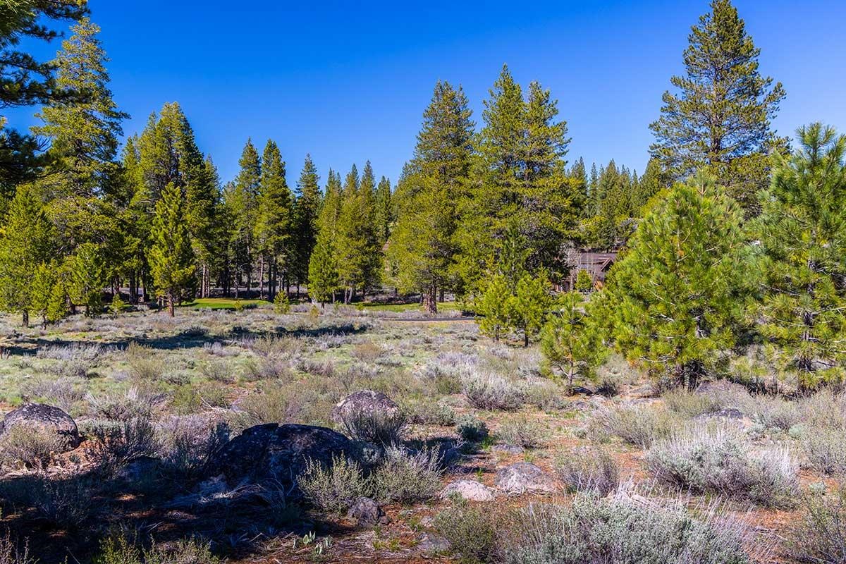 735 John McKinney, Truckee, CA, 96161