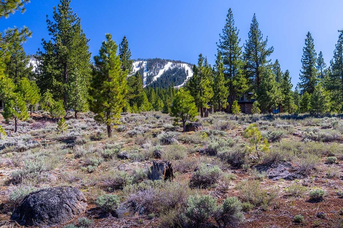 735 John McKinney, Truckee, CA, 96161