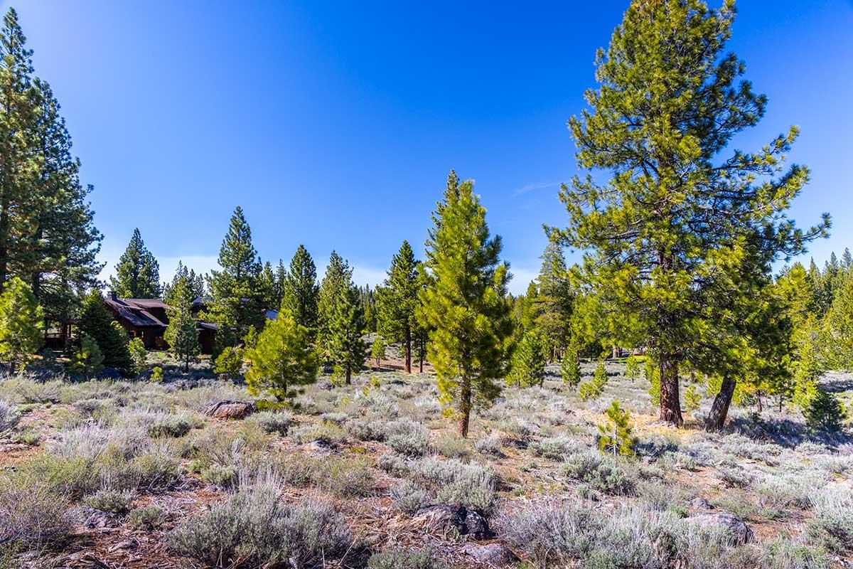 735 John McKinney, Truckee, CA, 96161