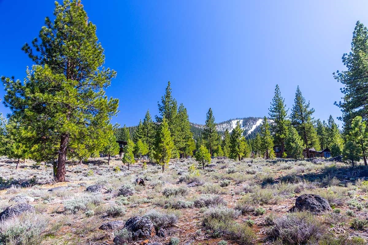 735 John McKinney, Truckee, CA, 96161