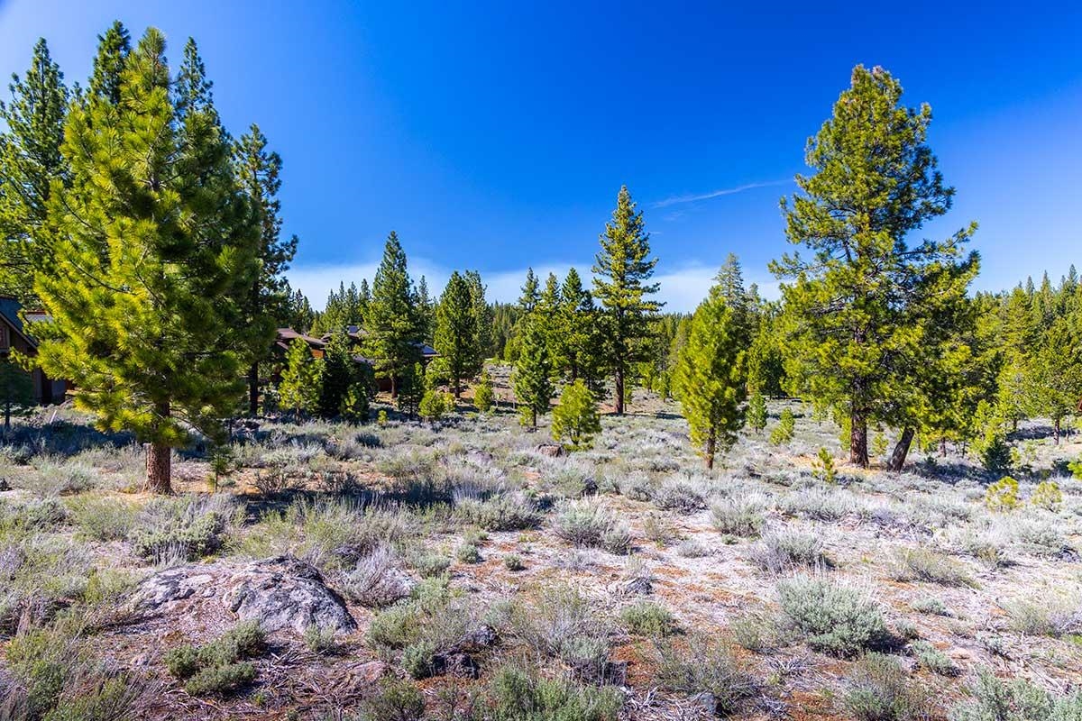 735 John McKinney, Truckee, CA, 96161