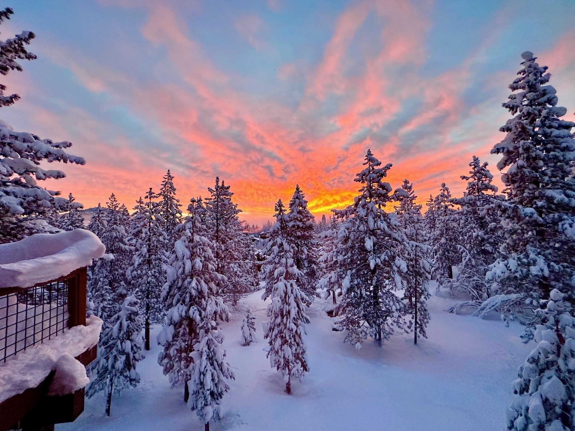 12787 Stockholm Way, Truckee, CA, 96161