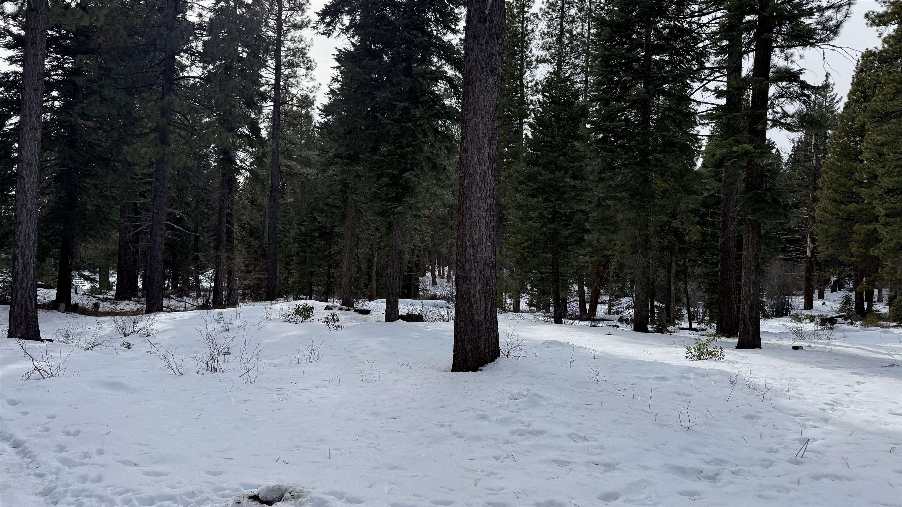 7464 Lily Avenue, Tahoe Vista, CA, 96148