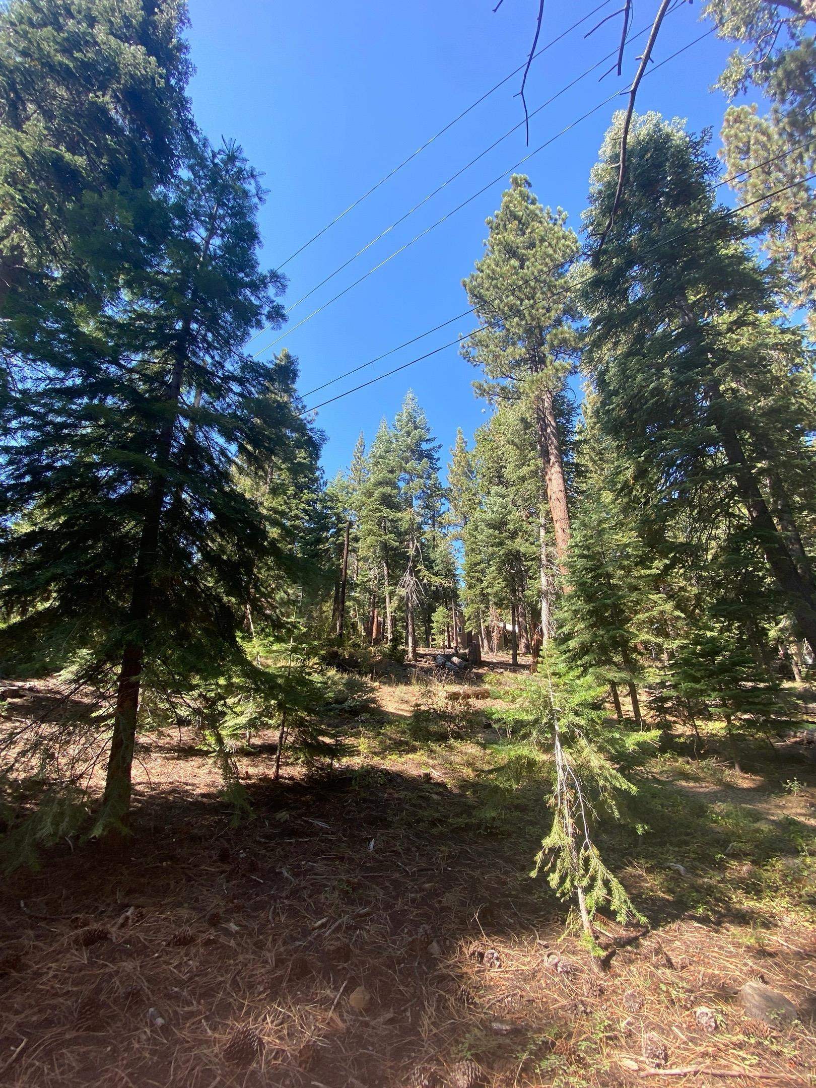 7464 Lily Avenue, Tahoe Vista, CA, 96148