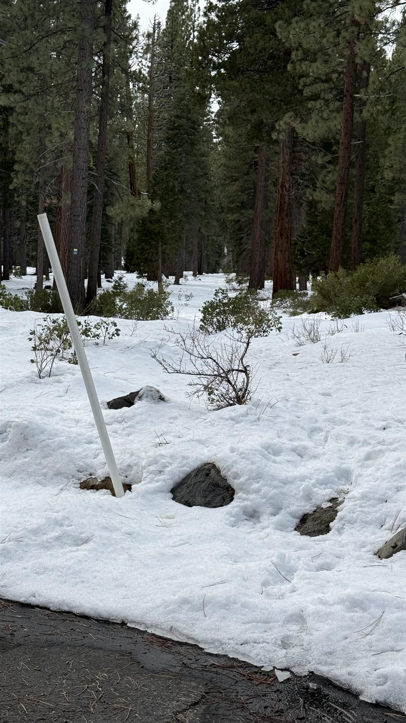 7464 Lily Avenue, Tahoe Vista, CA, 96148