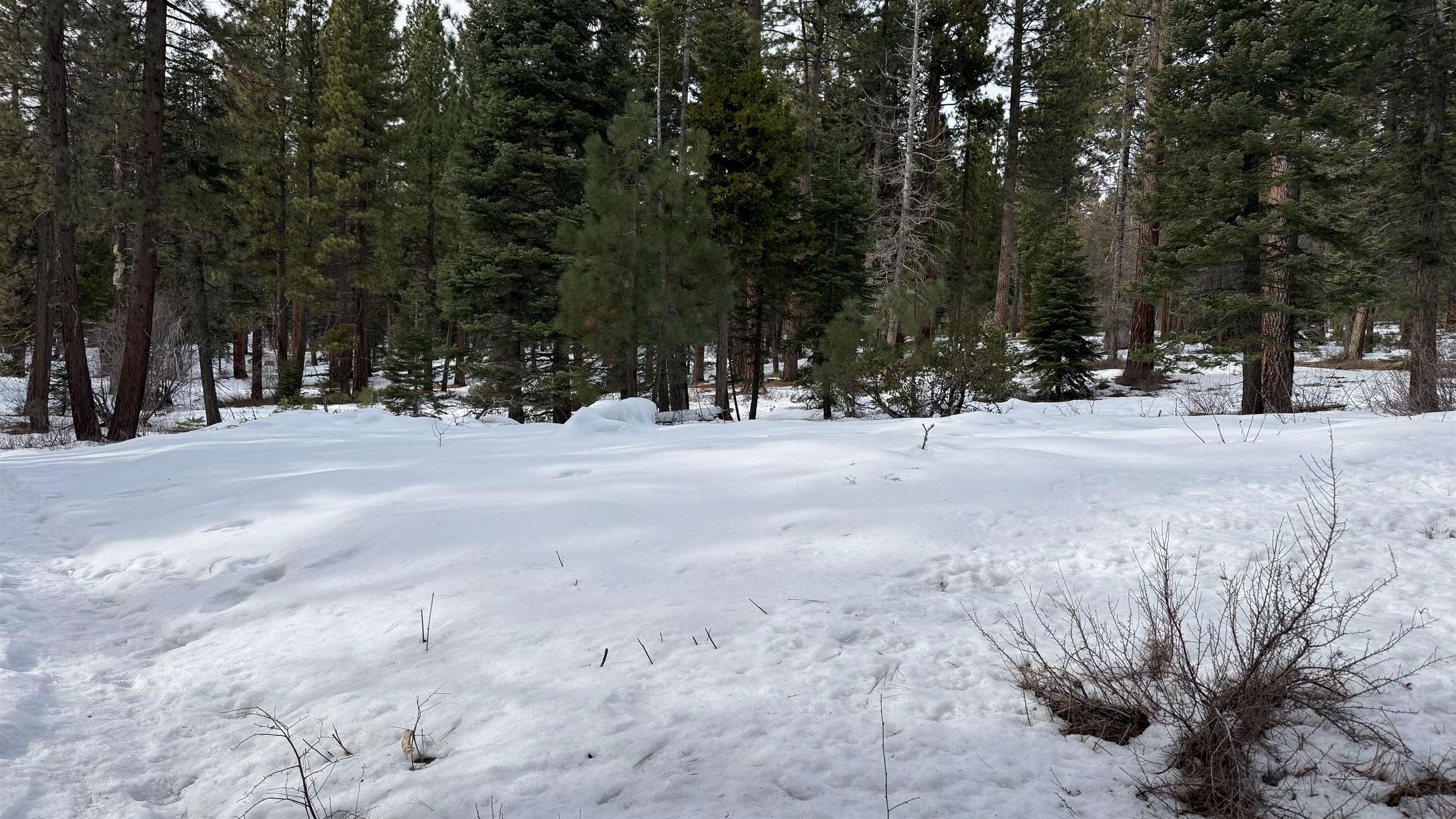 7464 Lily Avenue, Tahoe Vista, CA, 96148