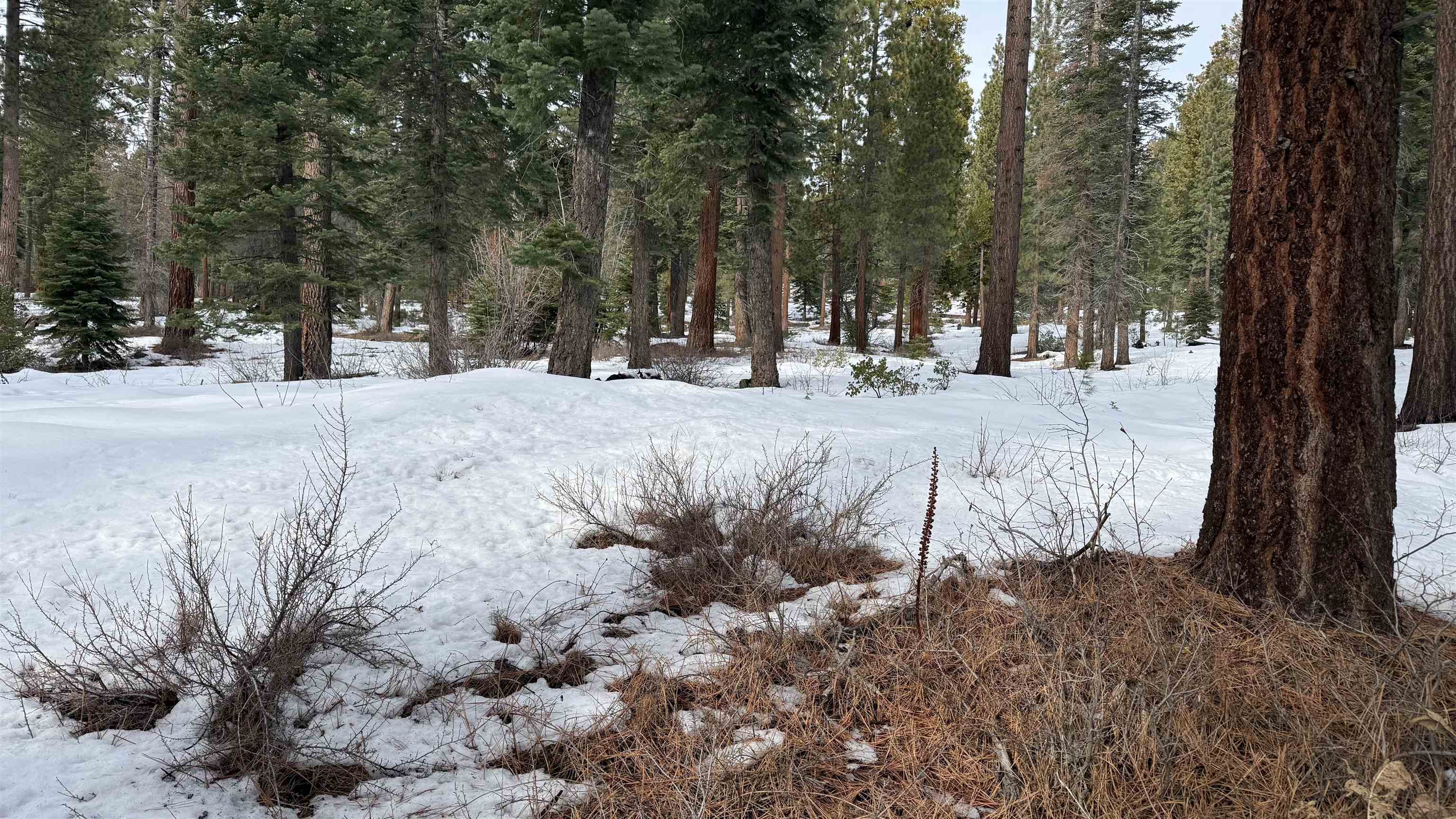 7464 Lily Avenue, Tahoe Vista, CA, 96148