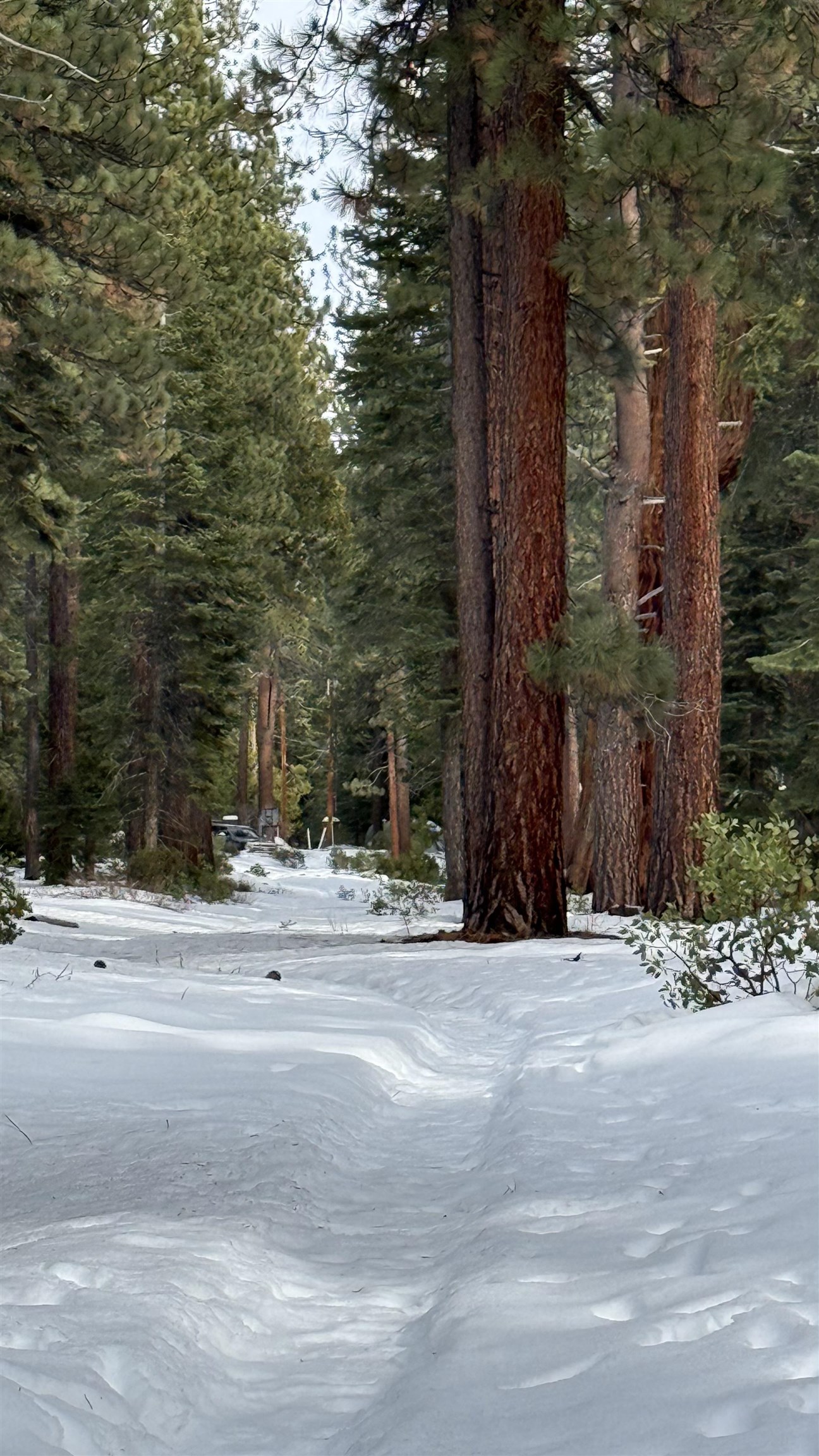 7464 Lily Avenue, Tahoe Vista, CA, 96148