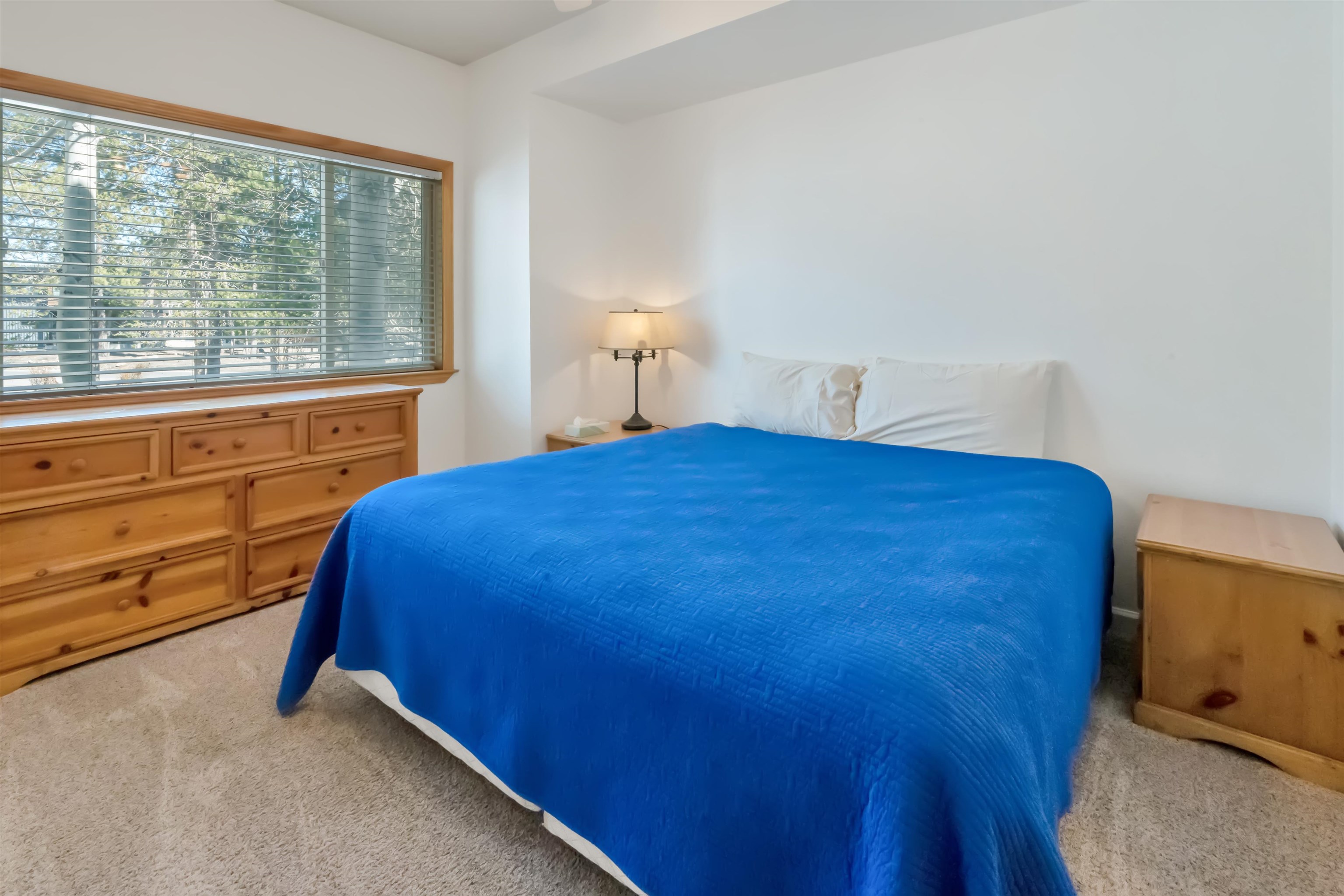 227 Olympic Valley Road #45