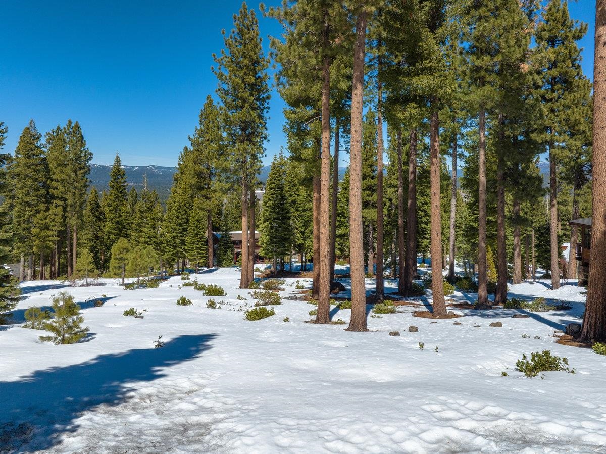 2532 Summit Place, Truckee, CA, 96161