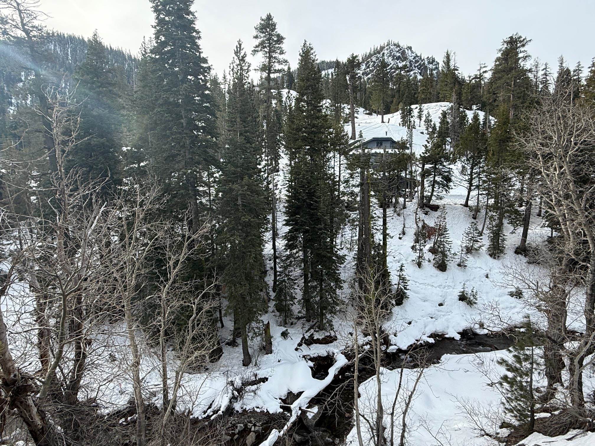 Alpine Meadows