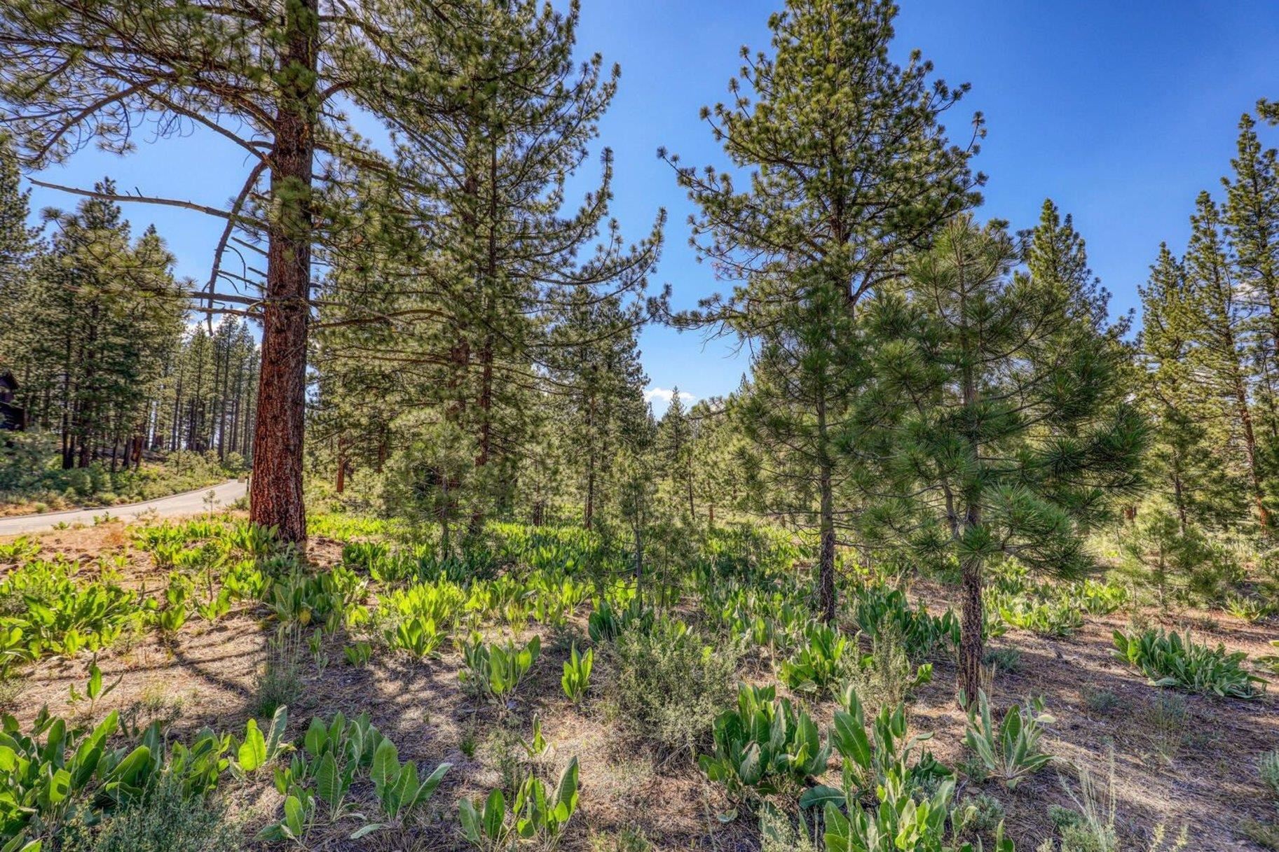 7445 Lahontan Drive, Truckee, CA, 96161