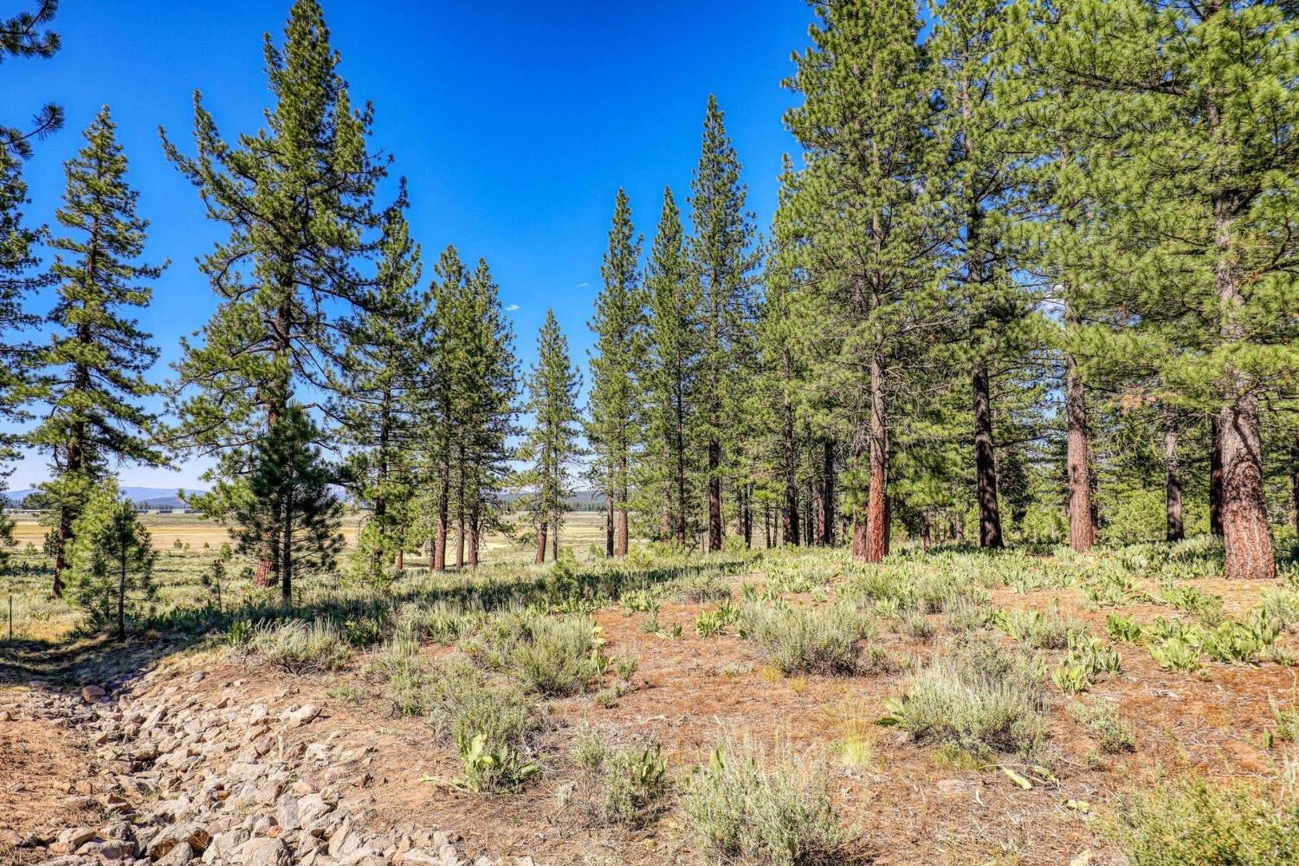 7445 Lahontan Drive, Truckee, CA, 96161