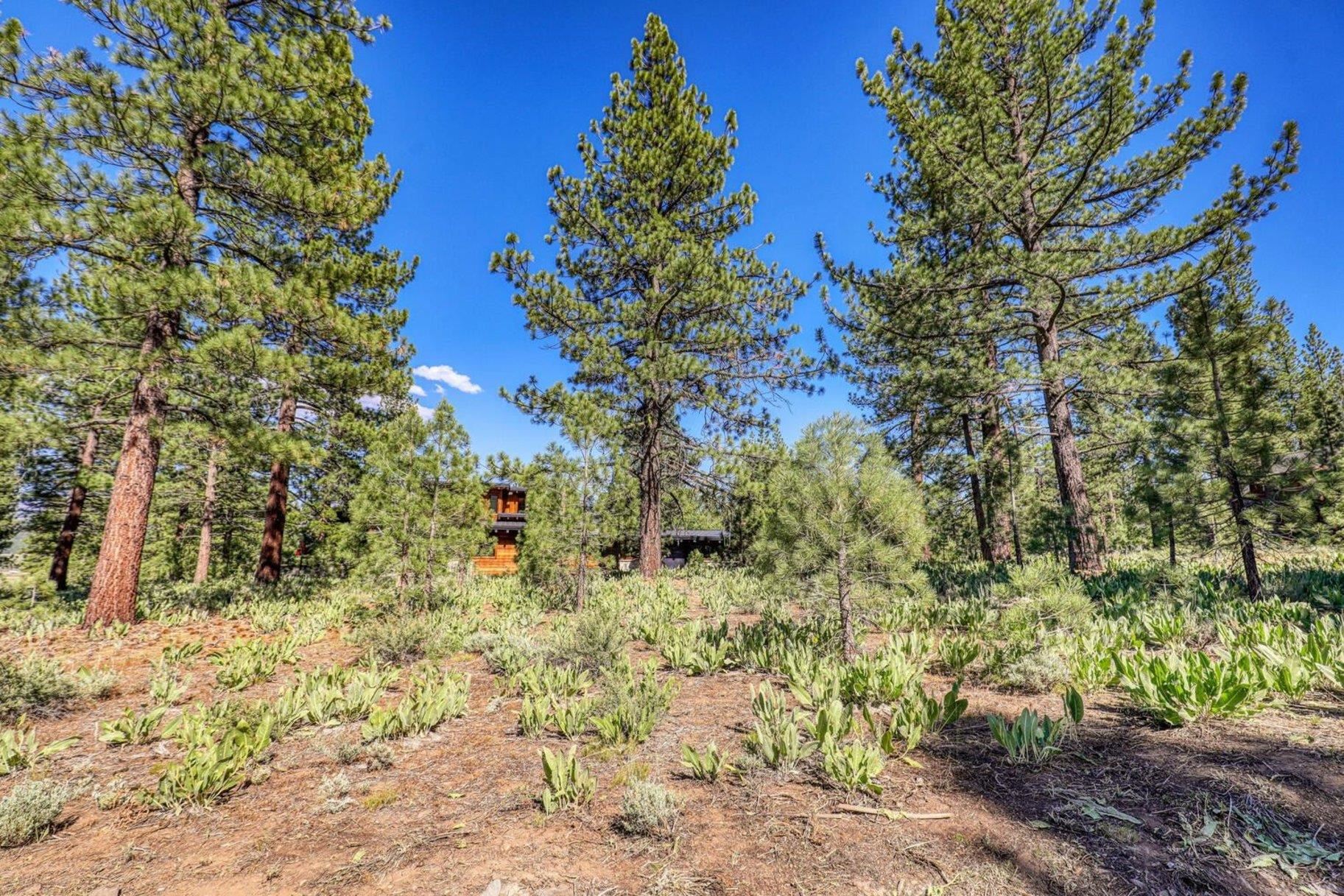 7445 Lahontan Drive, Truckee, CA, 96161
