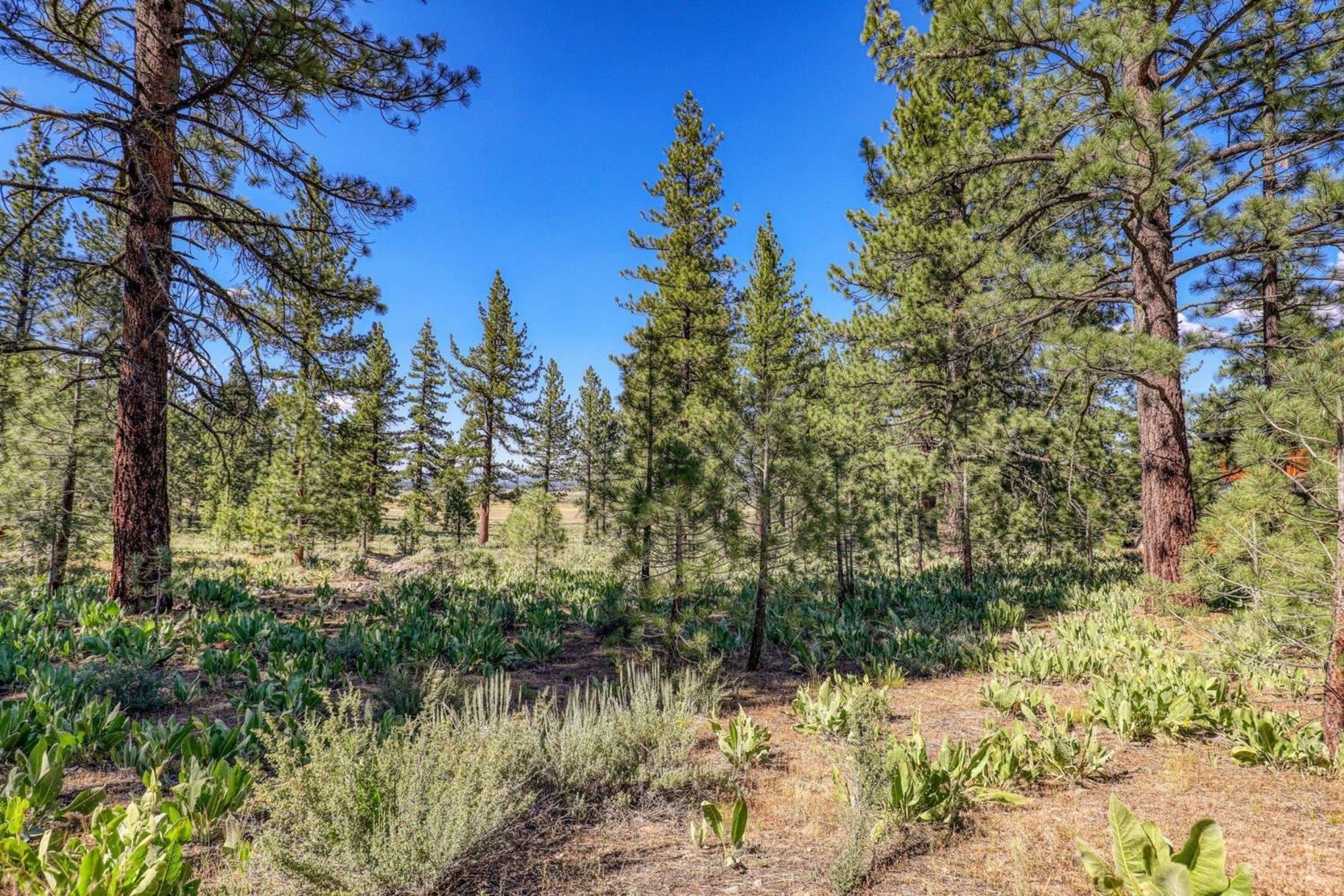 7445 Lahontan Drive, Truckee, CA, 96161