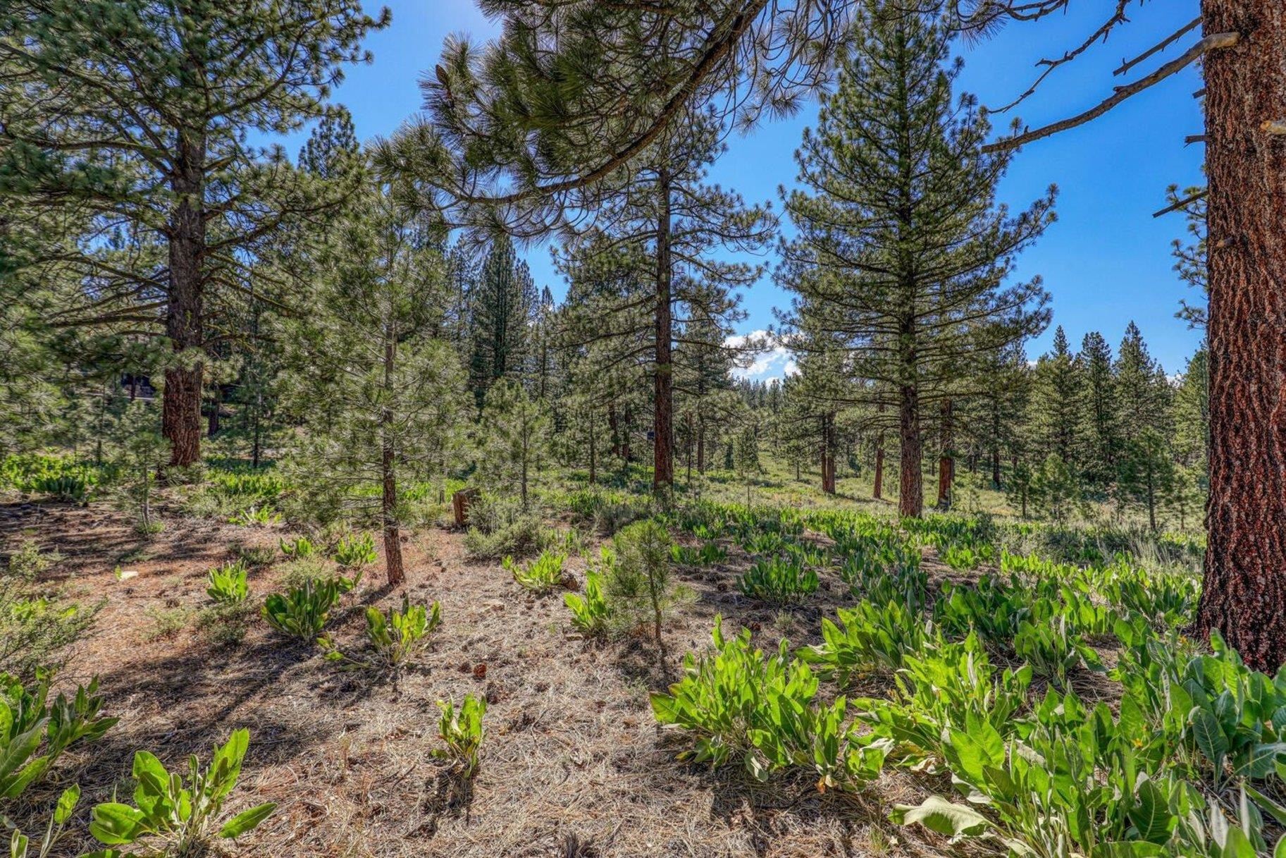 7445 Lahontan Drive, Truckee, CA, 96161