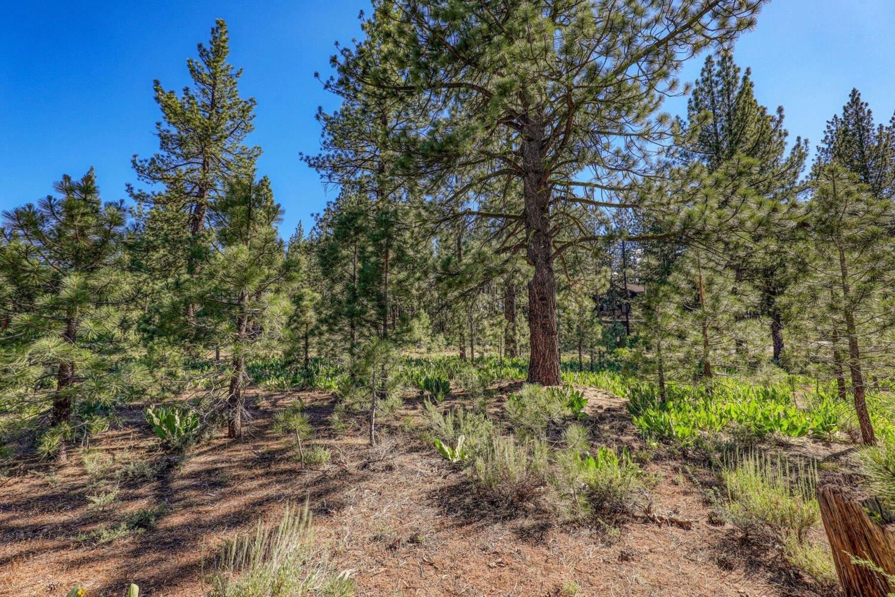 7445 Lahontan Drive, Truckee, CA, 96161