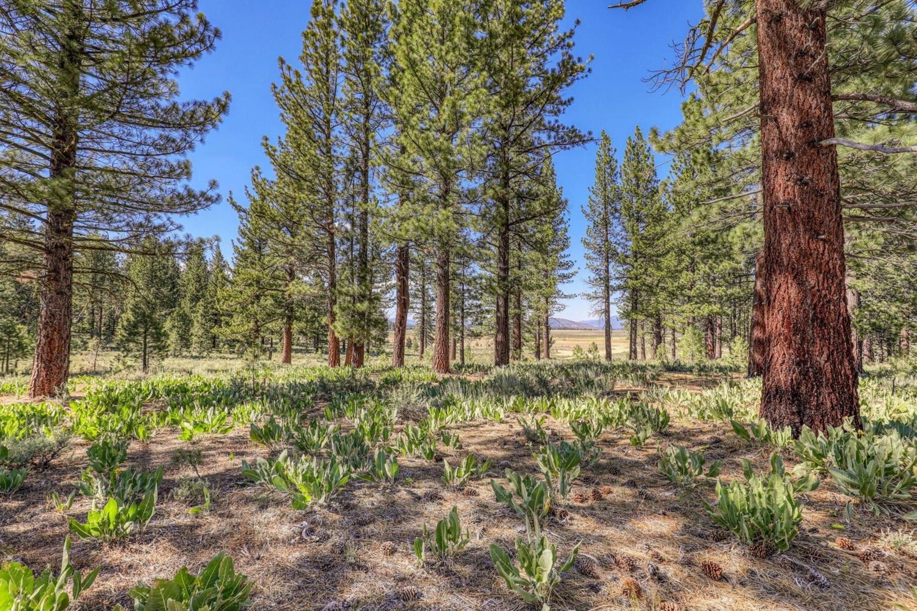 7445 Lahontan Drive, Truckee, CA, 96161
