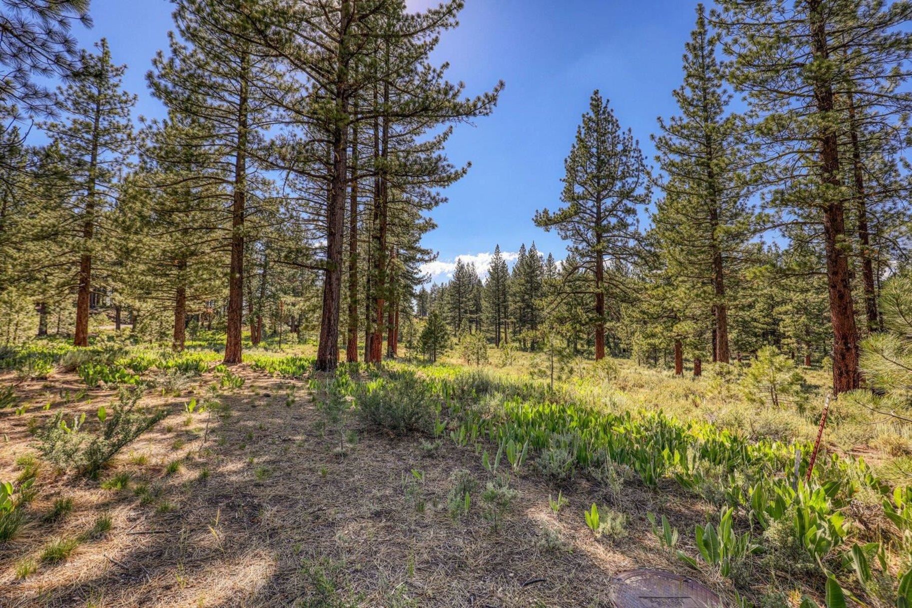 7445 Lahontan Drive, Truckee, CA, 96161
