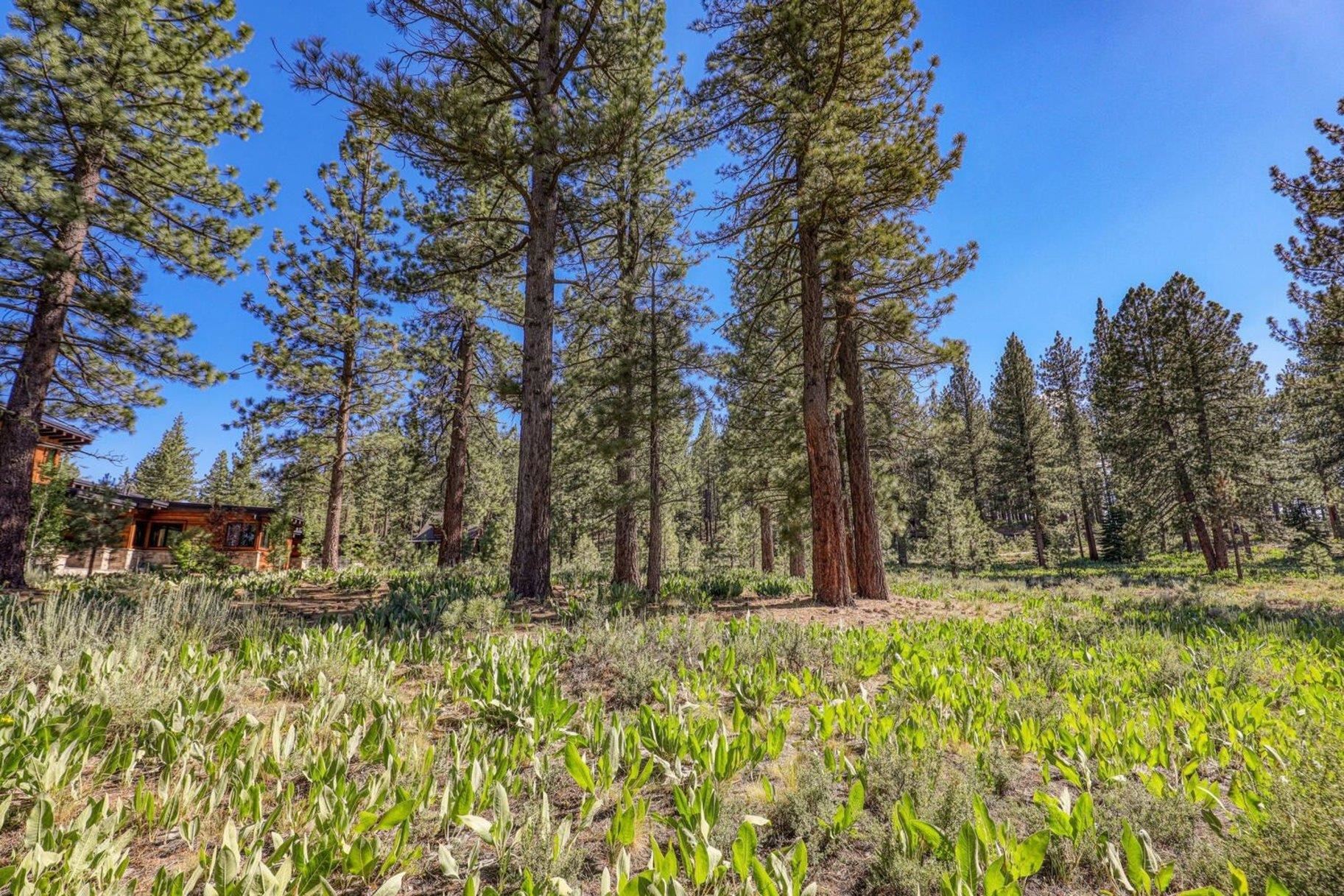 7445 Lahontan Drive, Truckee, CA, 96161