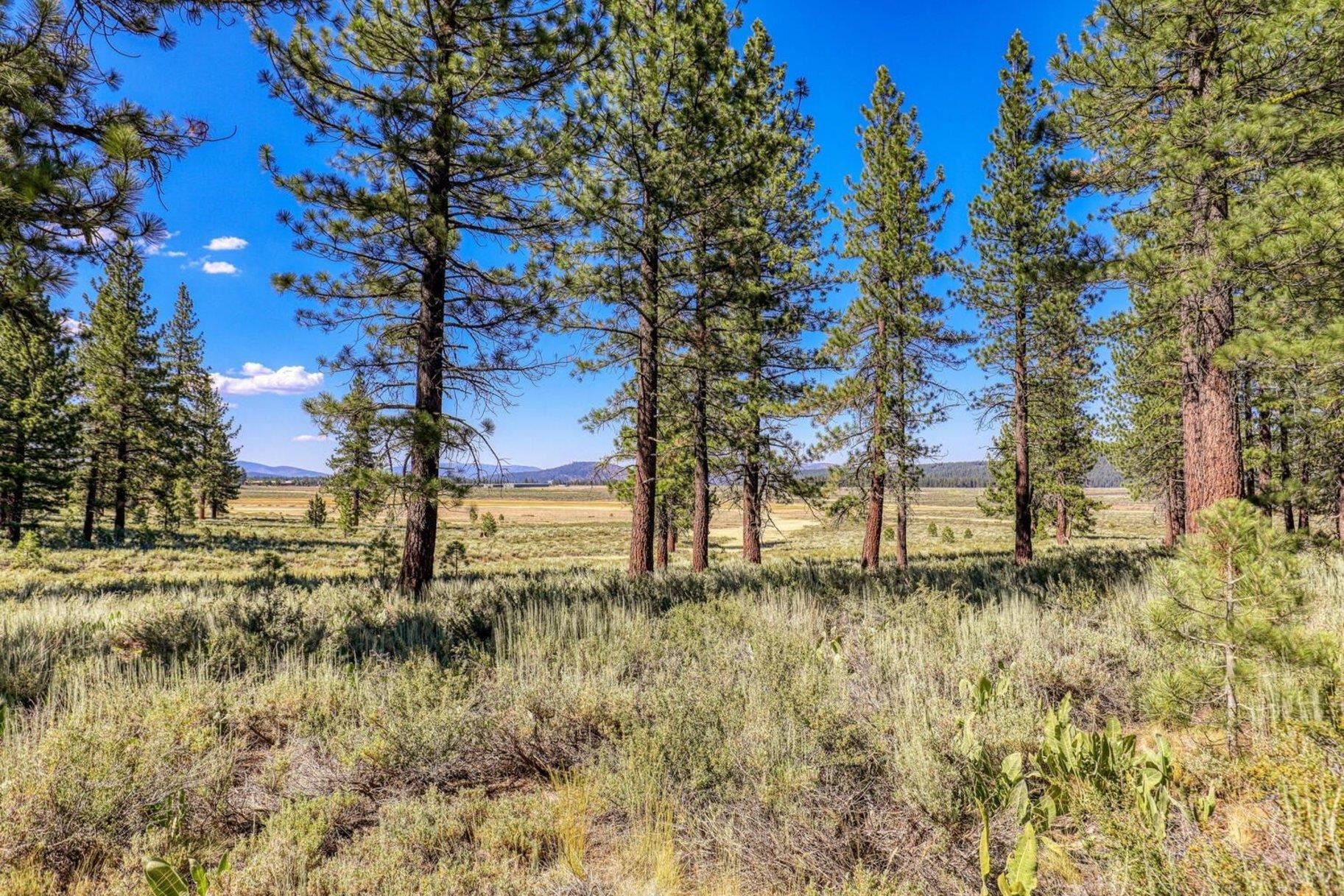 7445 Lahontan Drive, Truckee, CA, 96161