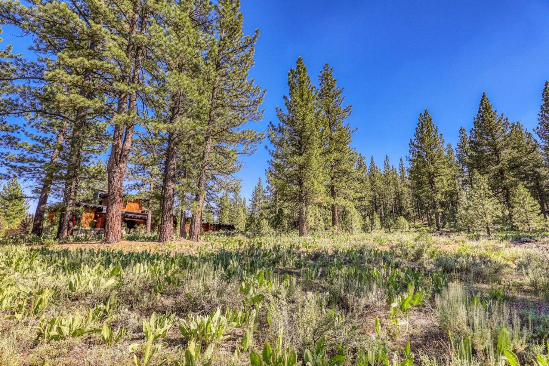 7445 Lahontan Drive, Truckee, CA, 96161