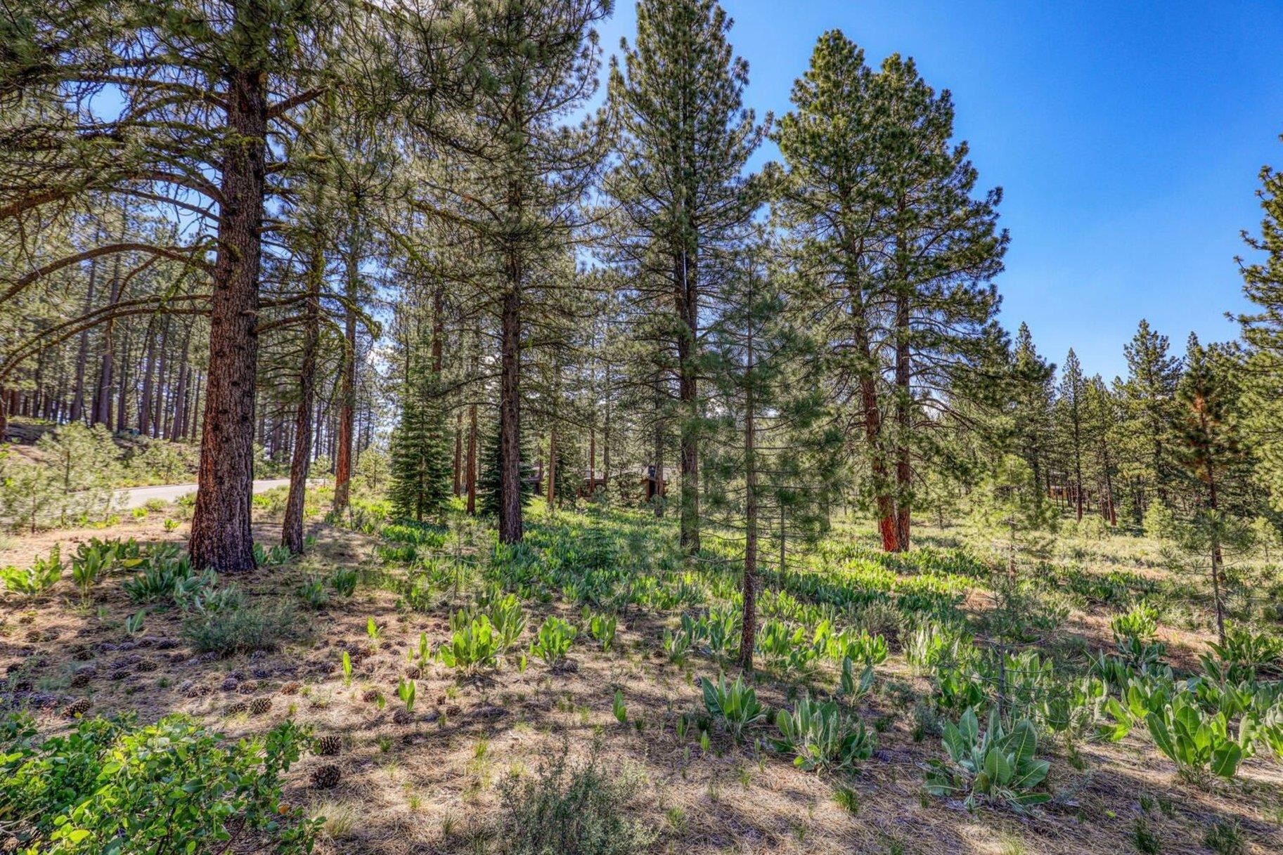 7455 Lahontan Drive, Truckee, CA, 96161