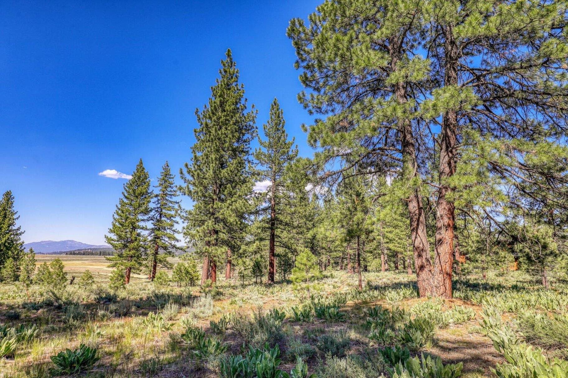 7455 Lahontan Drive, Truckee, CA, 96161