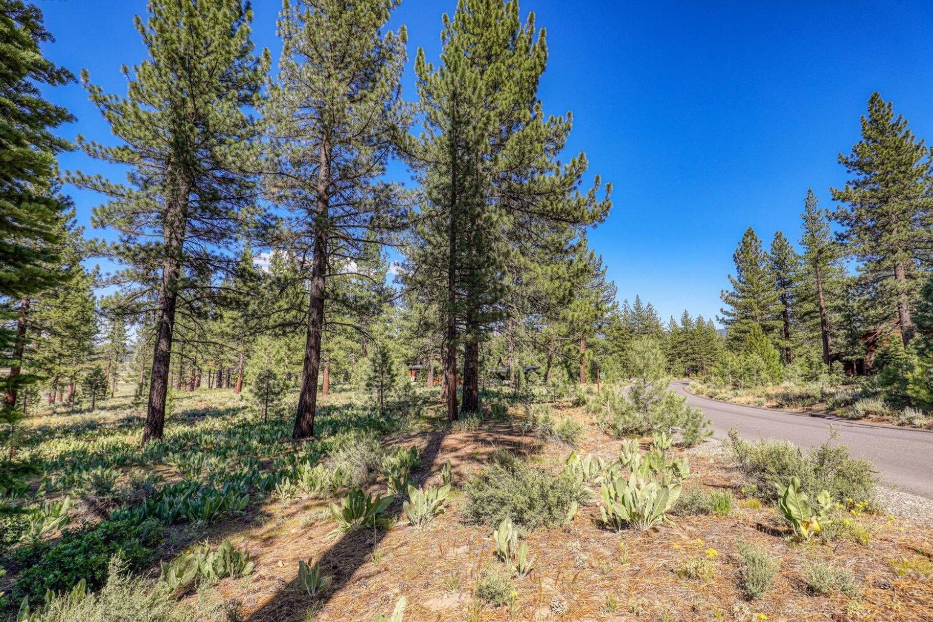 7455 Lahontan Drive, Truckee, CA, 96161