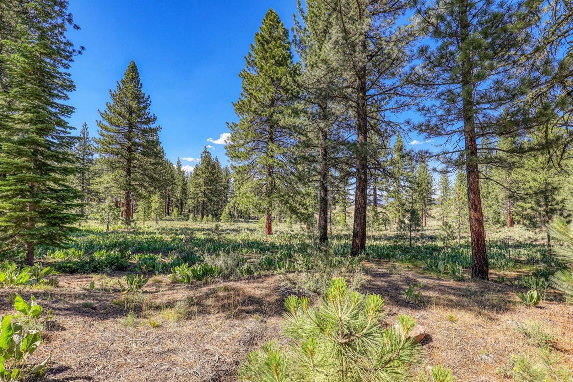 7455 Lahontan Drive, Truckee, CA, 96161