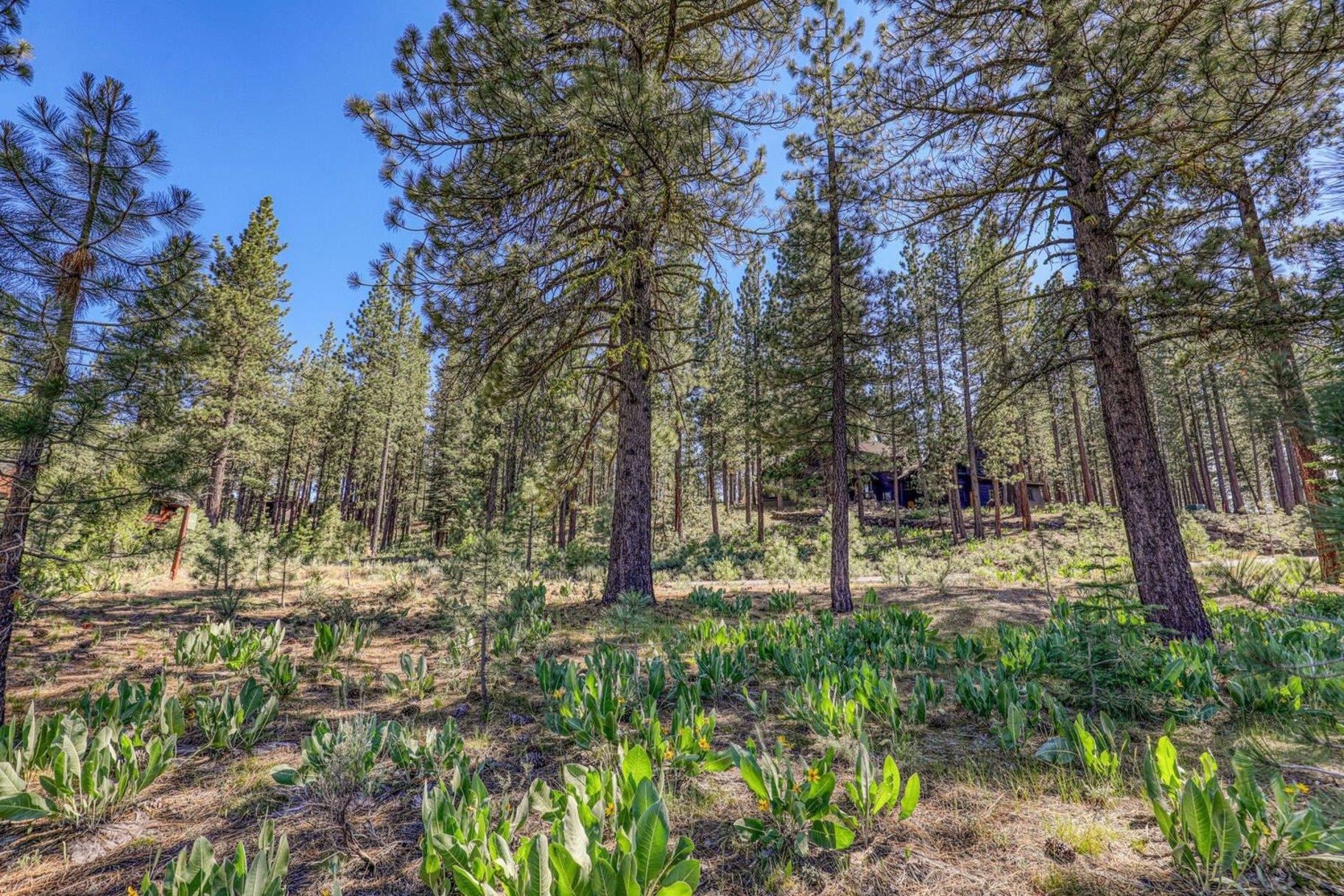7455 Lahontan Drive, Truckee, CA, 96161