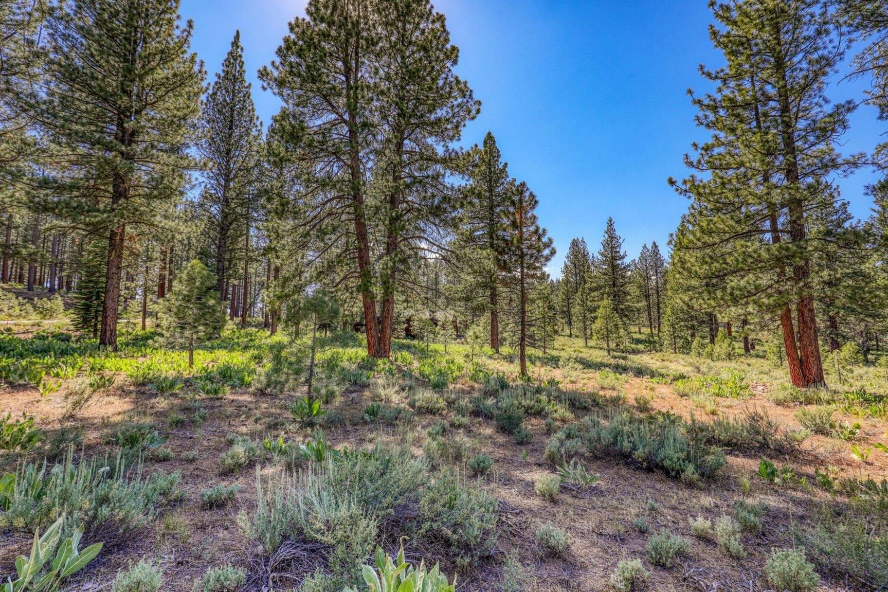 7455 Lahontan Drive, Truckee, CA, 96161