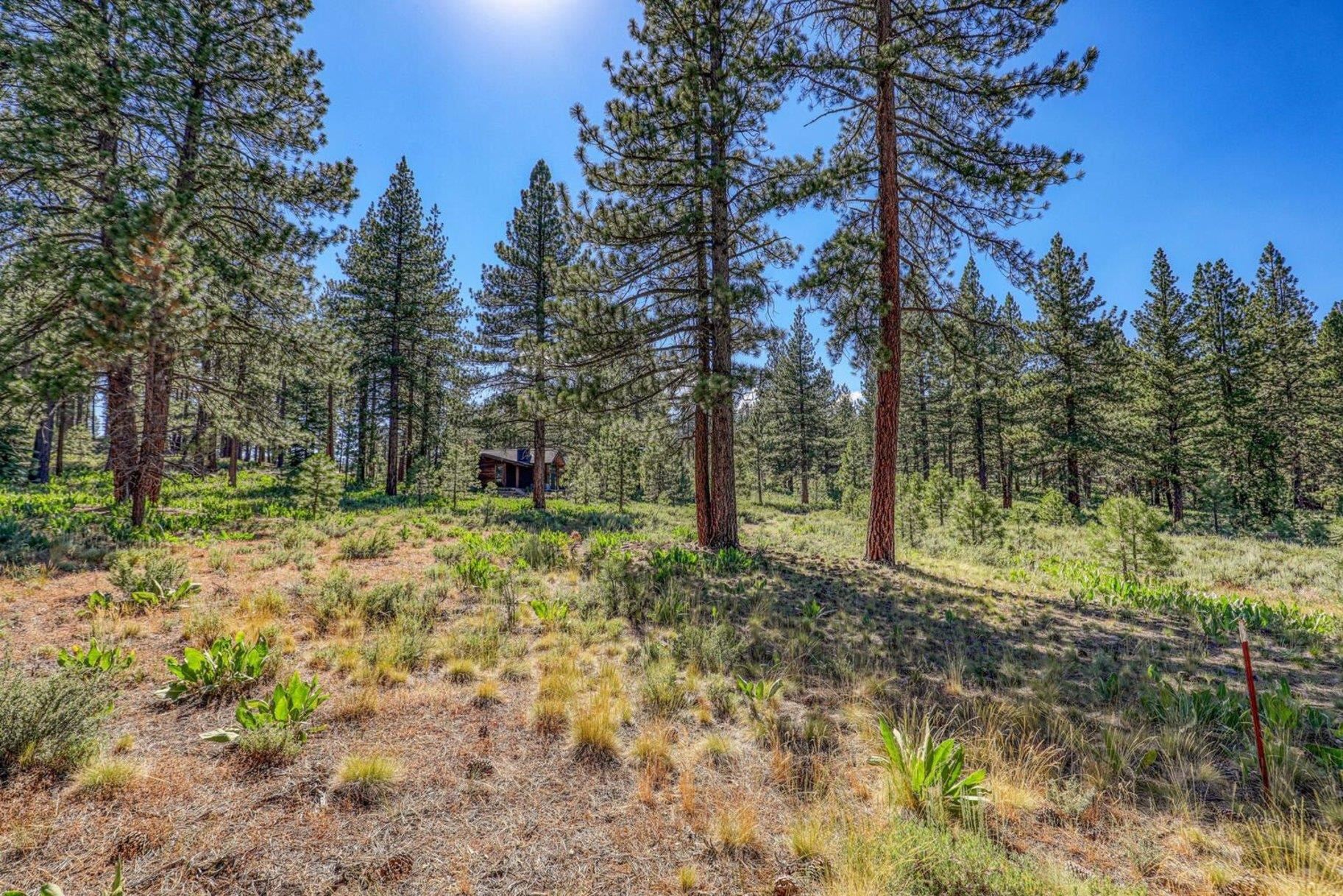 7455 Lahontan Drive, Truckee, CA, 96161