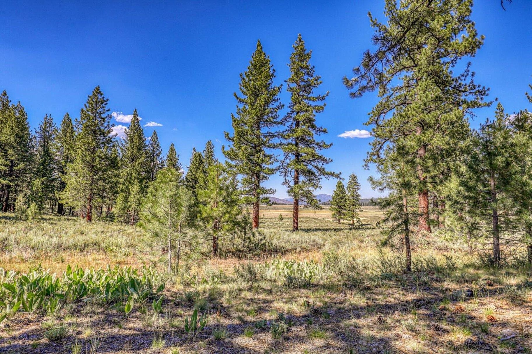 7455 Lahontan Drive, Truckee, CA, 96161