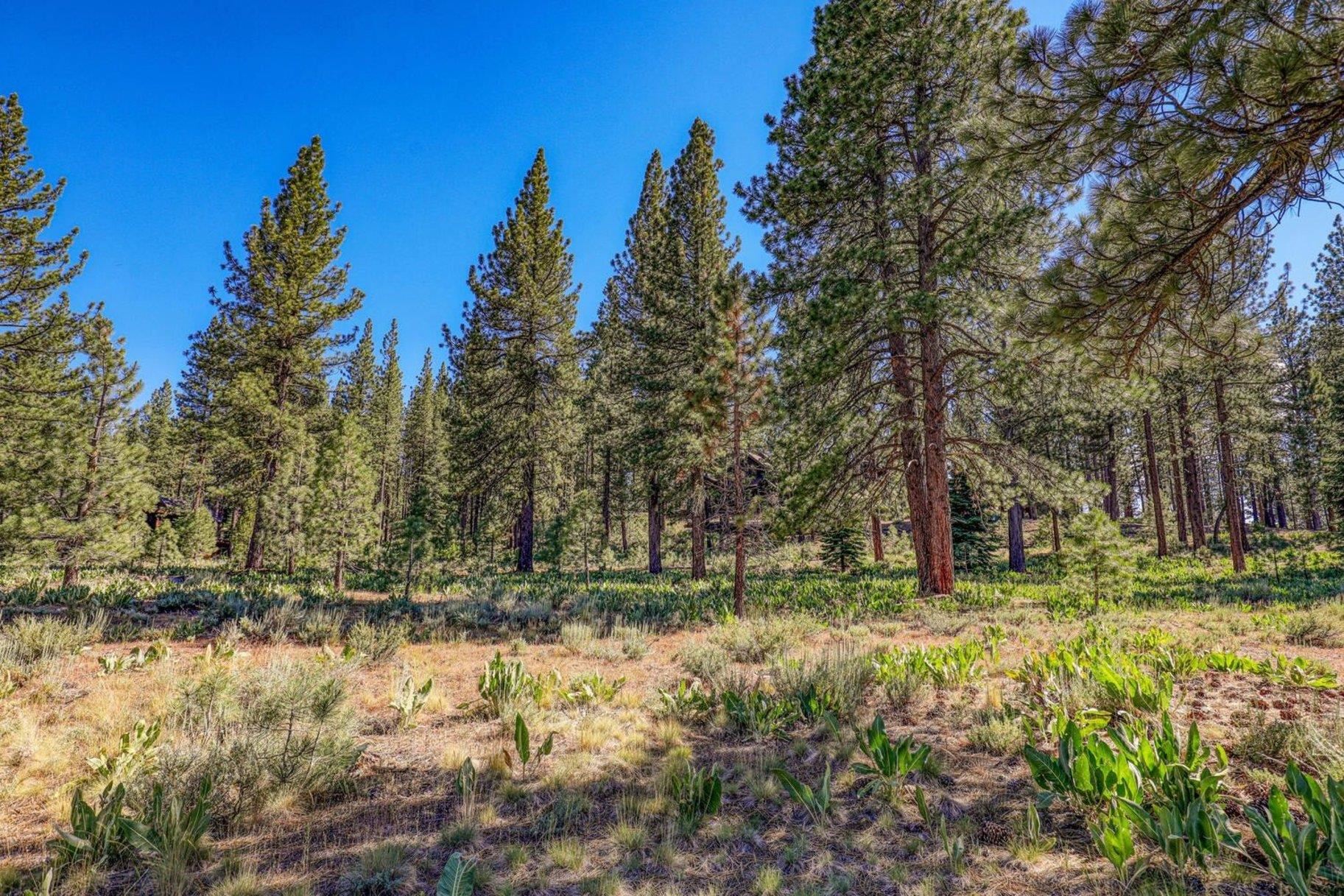 7455 Lahontan Drive, Truckee, CA, 96161
