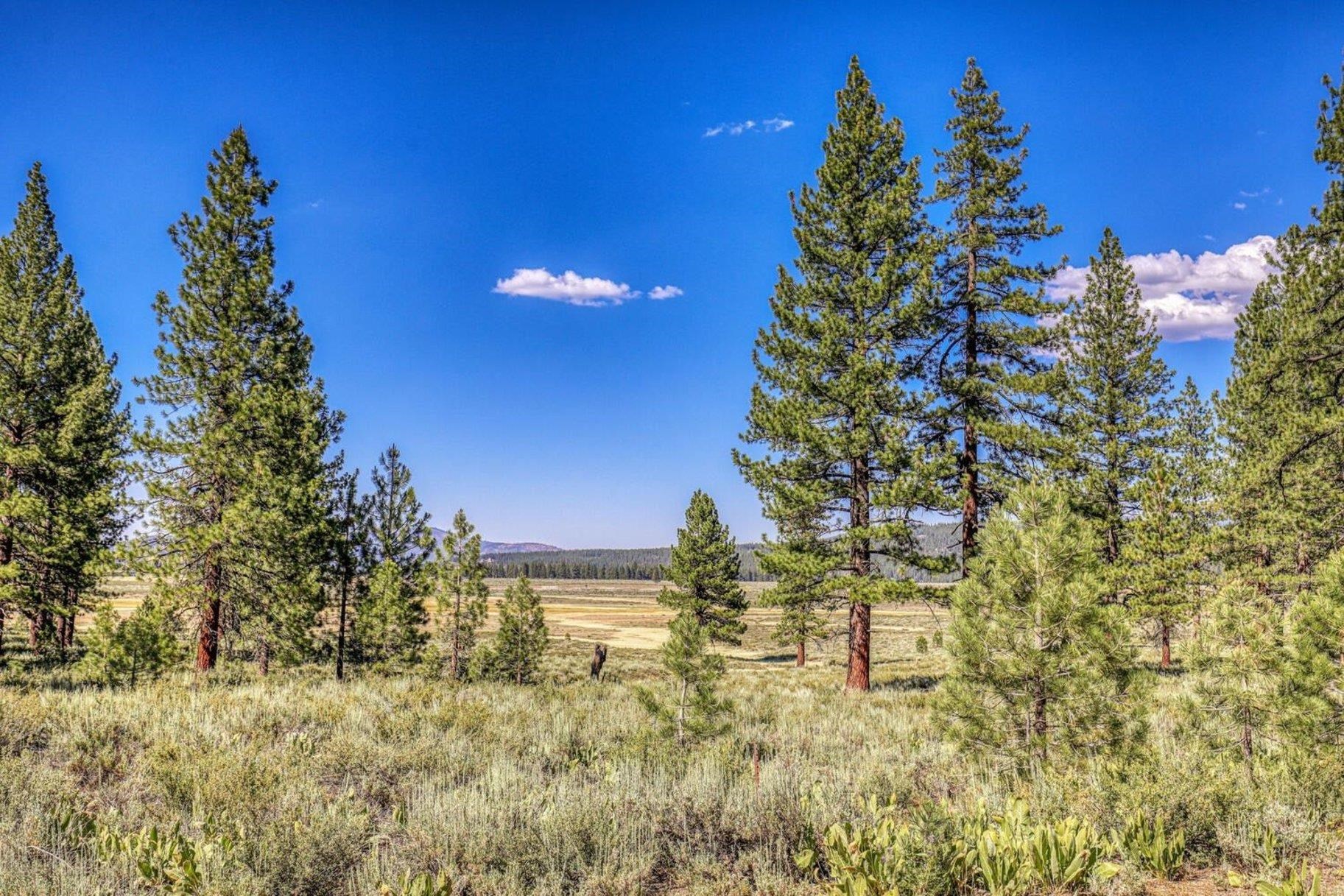 7455 Lahontan Drive, Truckee, CA, 96161