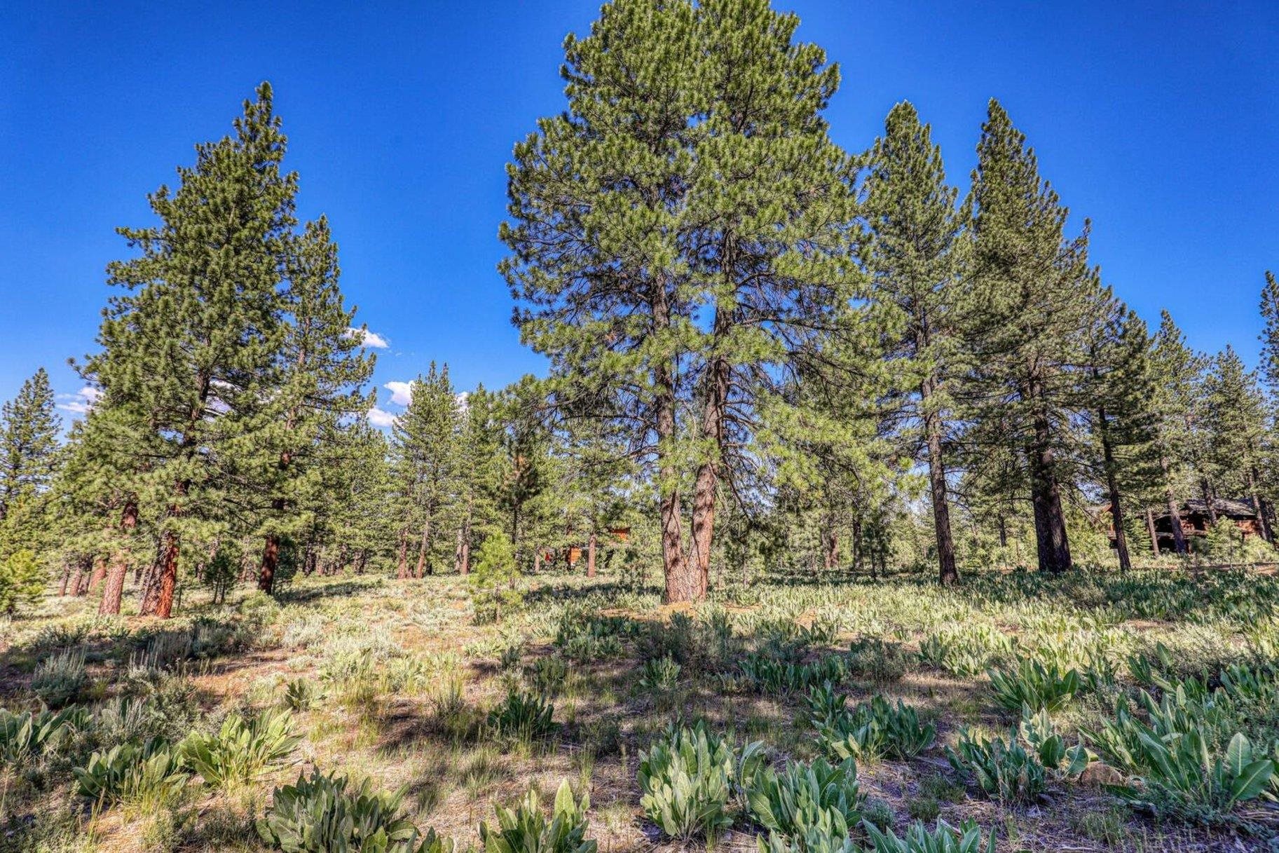 7455 Lahontan Drive, Truckee, CA, 96161