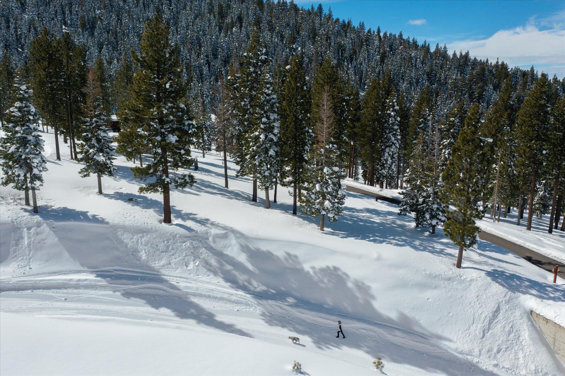 19065 Glades Place, Truckee, CA, 96161