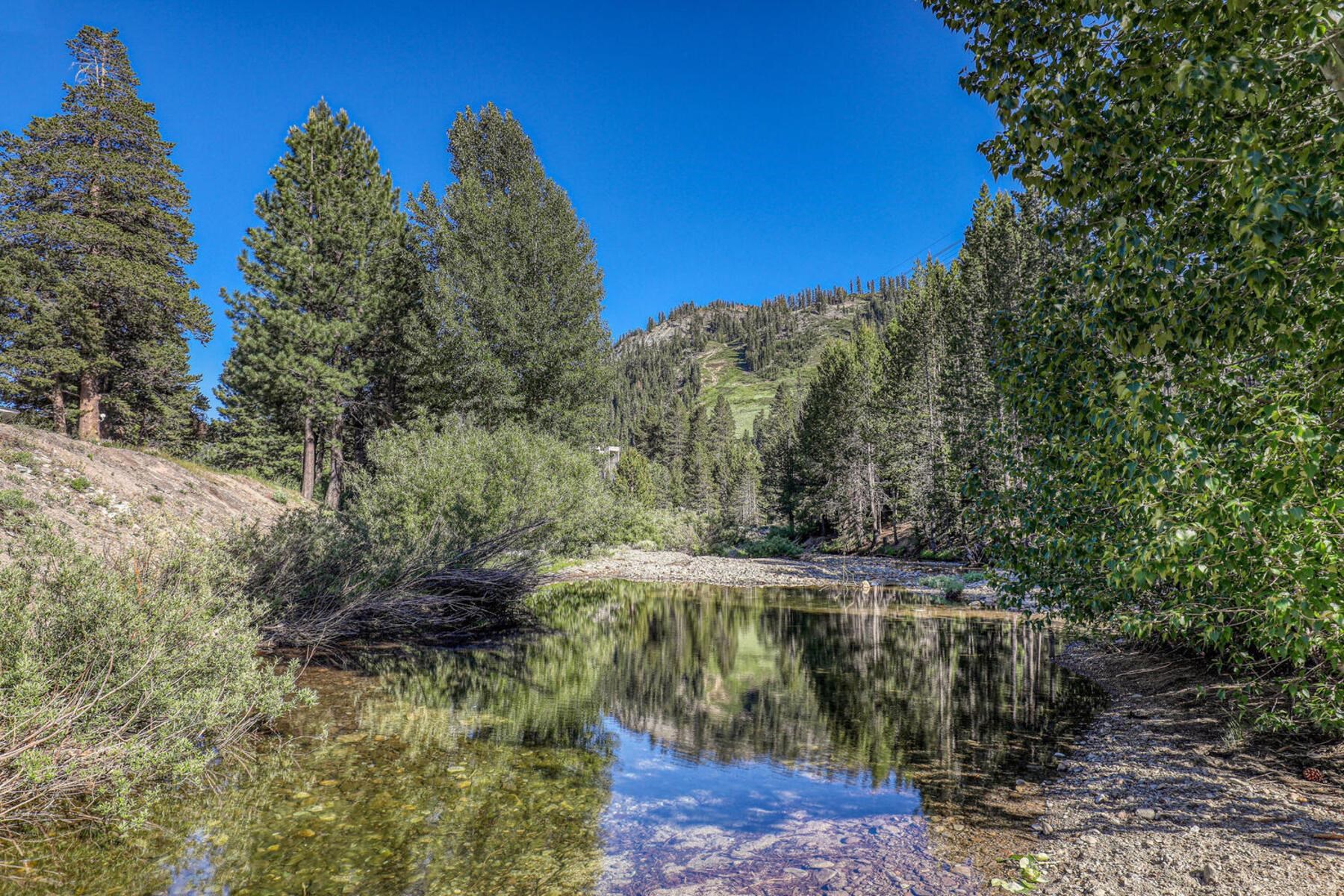 420 Shirley Canyon Road UNIT 29, Olympic Valley, CA, 96146-0000