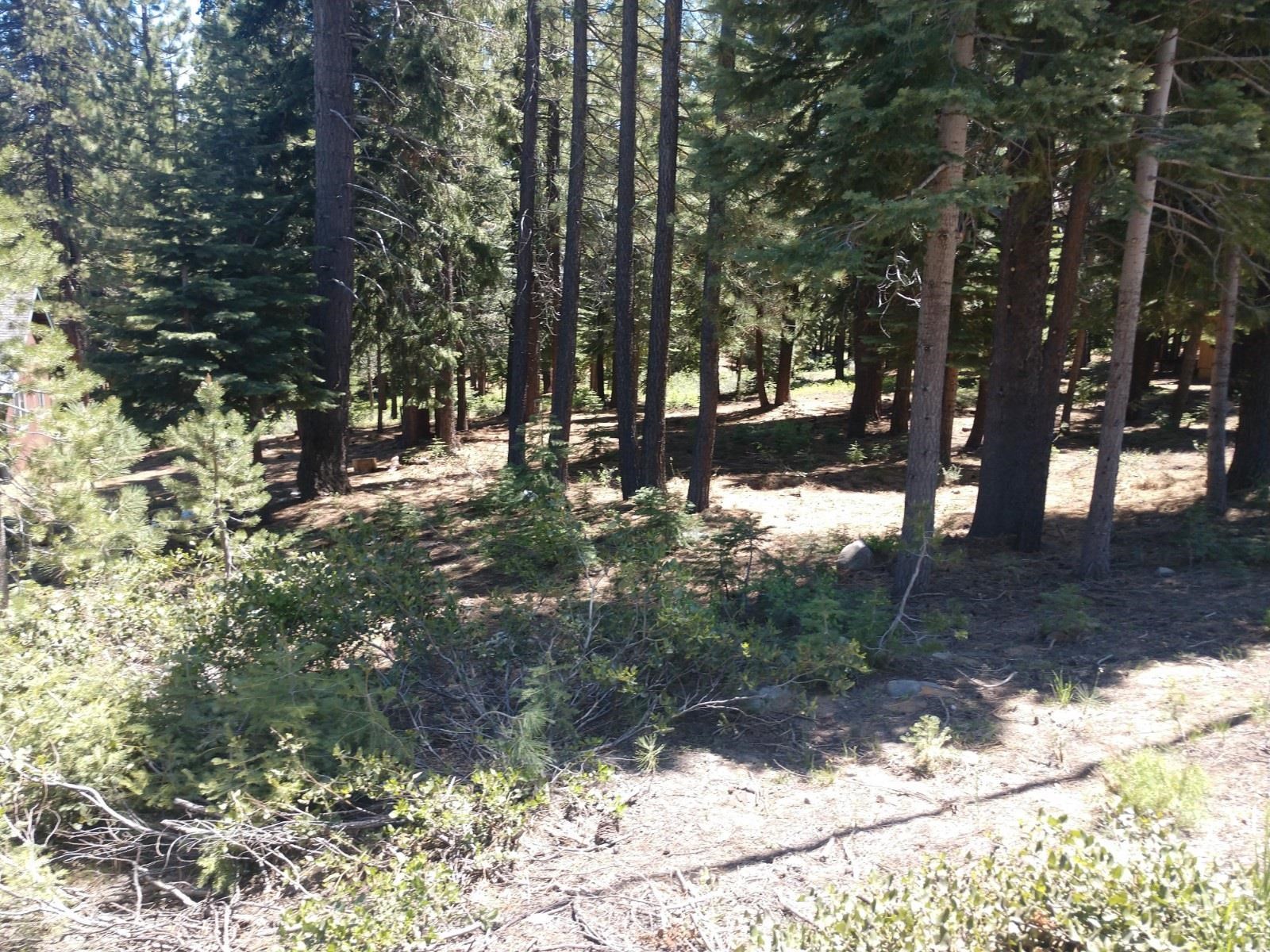 17249 Northwoods Boulevard, Truckee, CA, 96161